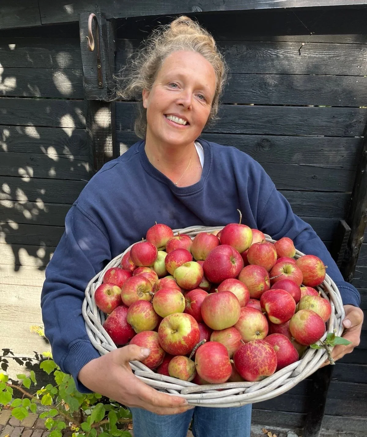Vrouw houdt een grote mand met rode en groene appels.