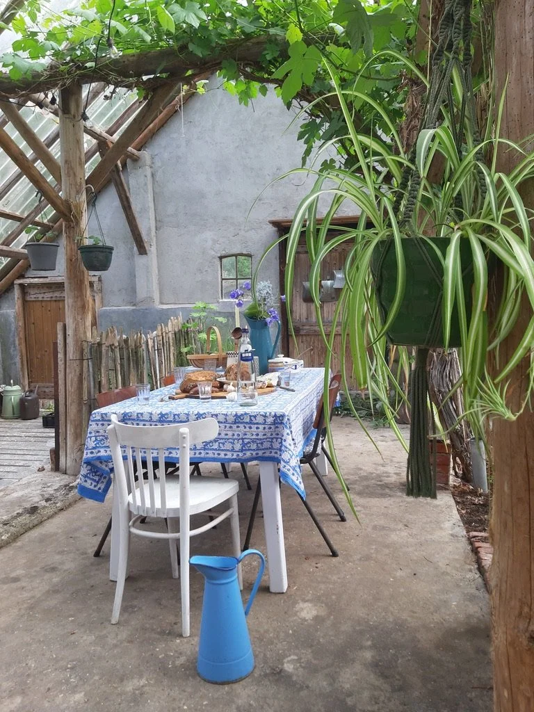Een binnenplaats met een tafel met een blauwe en witte tafelkleed, waarop eten en drinken staan. Er hangen planten en er is een houten schutting en muren op de achtergrond.