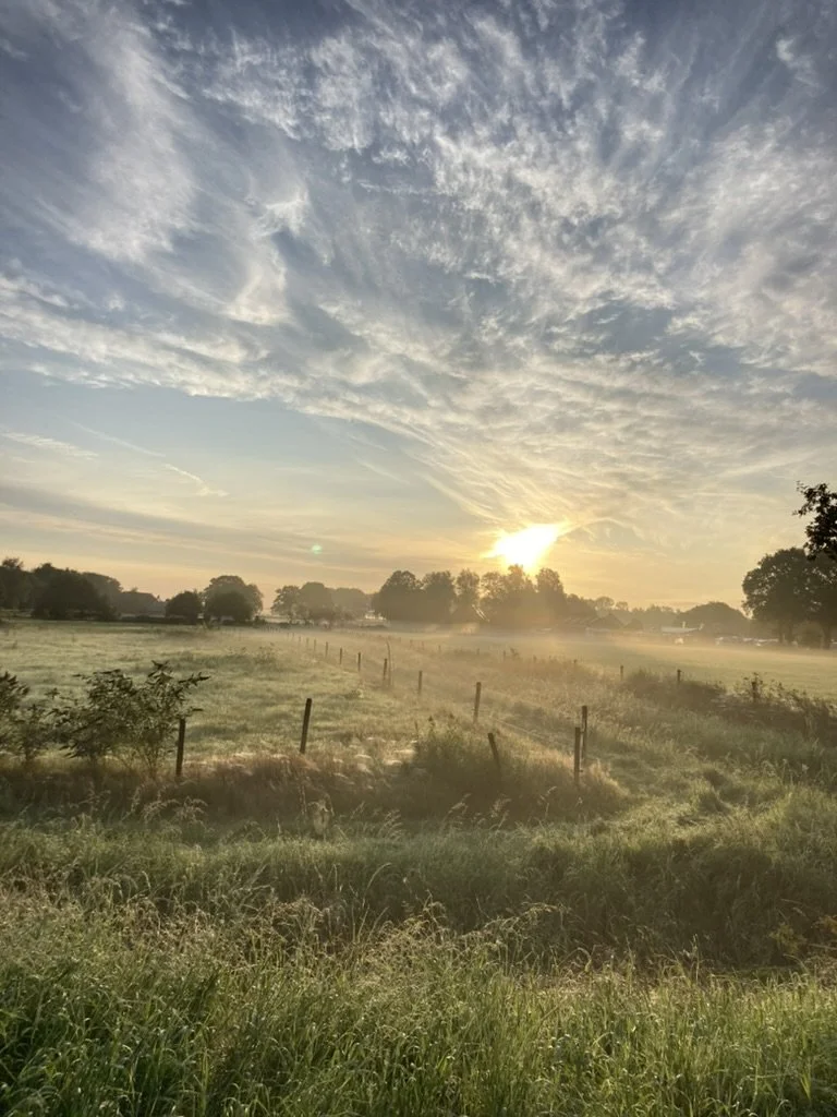 Een uitgestrekt grasveld met bomen en een grillige hemel tijdens zonsopgang of zonsondergang, met licht mist en een houten hek.