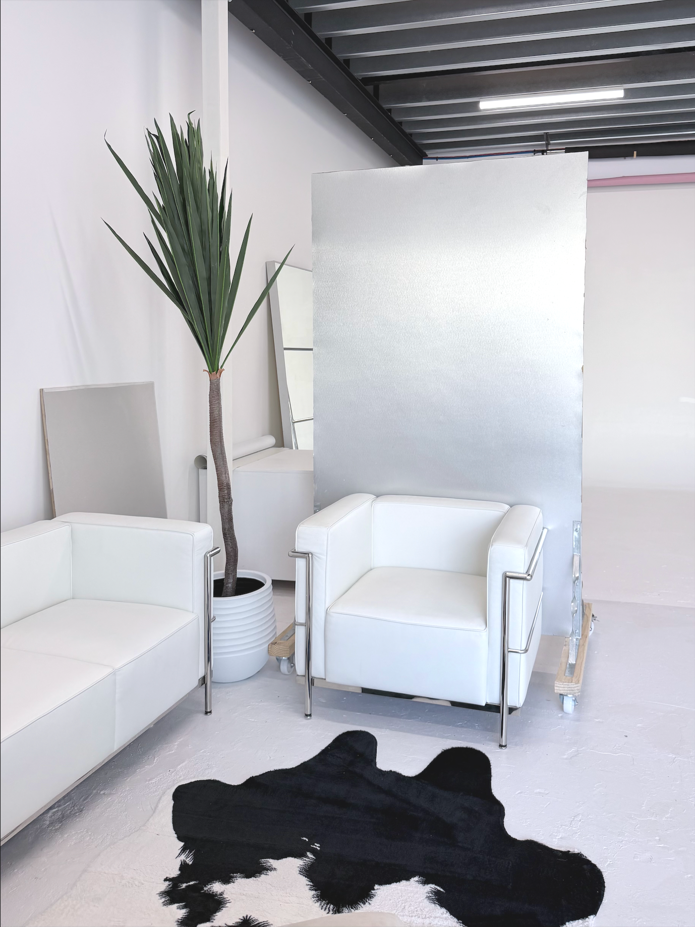 Modern office or lounge space with white armchairs, a tall indoor plant, a cowhide rug, and a reflective partition or wall.