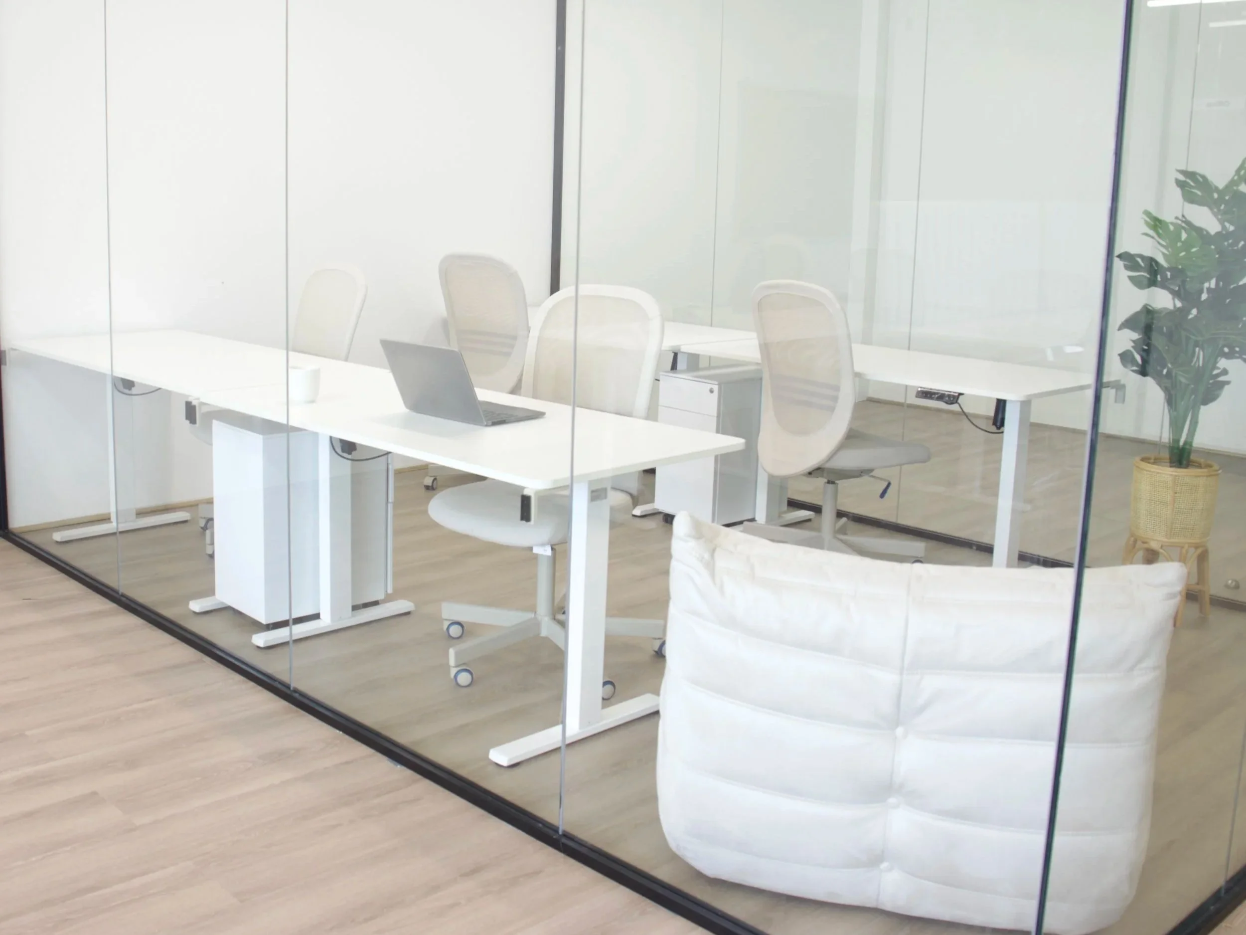 Modern office conference room with a white table, white chairs, a laptop, and a potted plant, viewed through a glass wall.