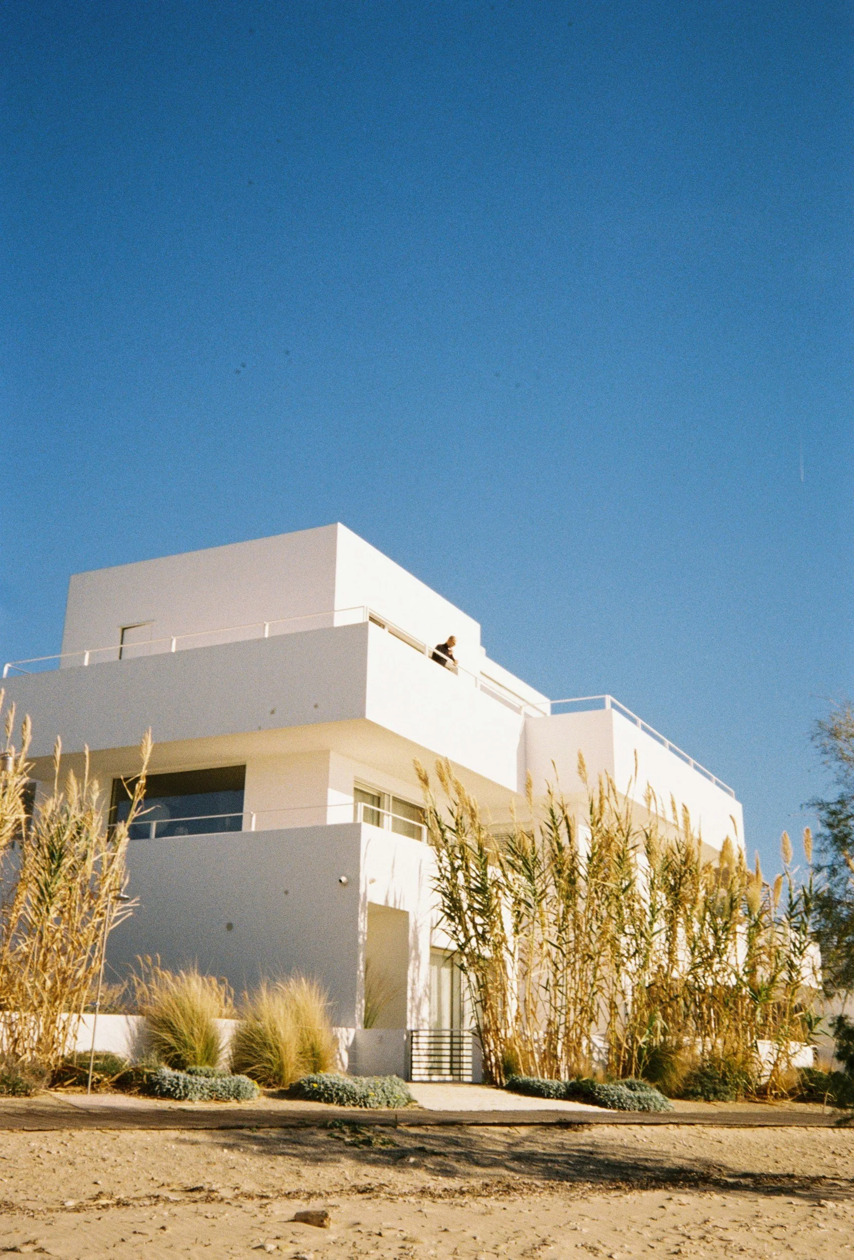 A modern white multi-story apartment building under a clear blue sky with tall grasses and shrubs in the foreground.
