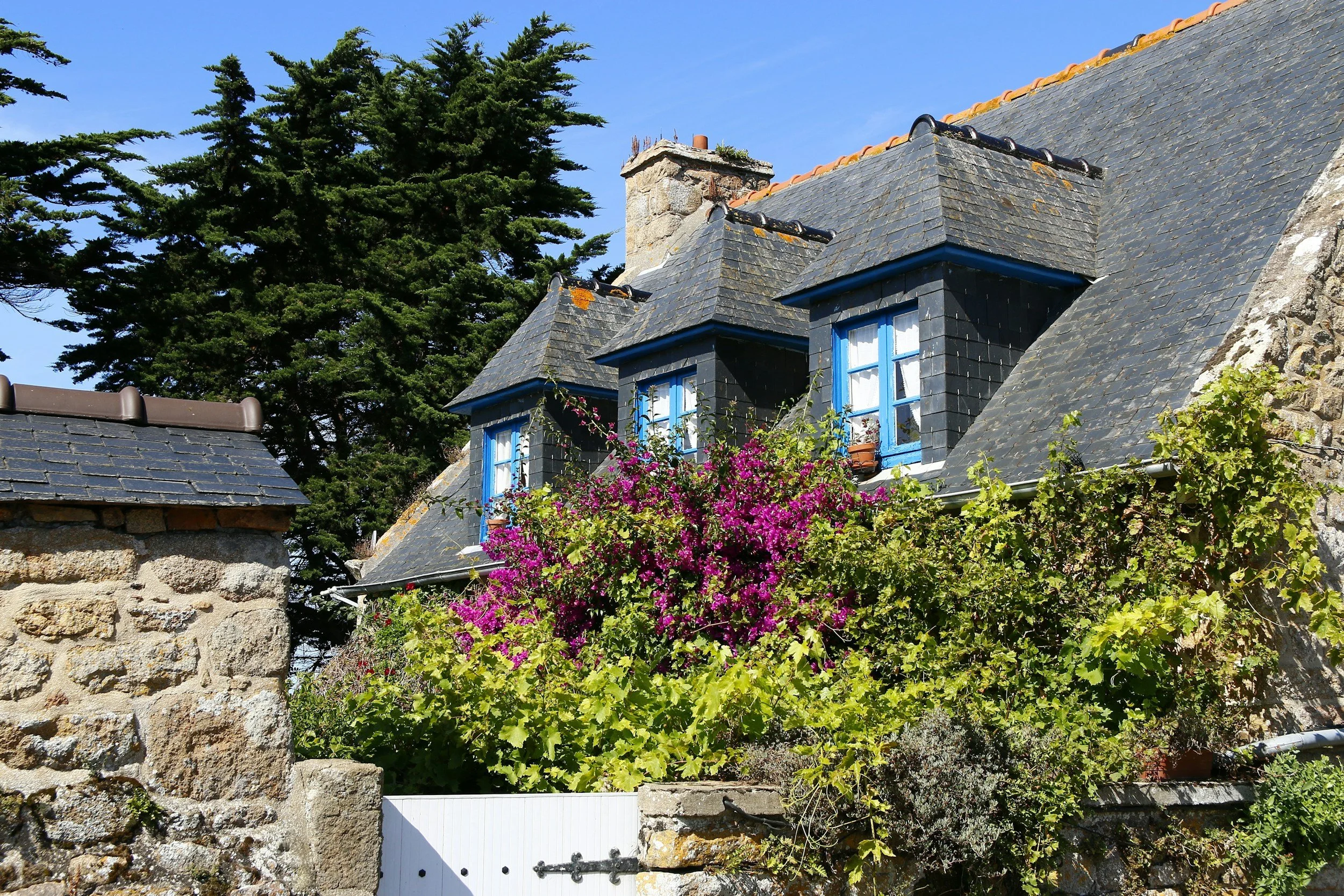 A stone house with blue window frames, surrounded by green foliage and purple flowers, under a clear blue sky.