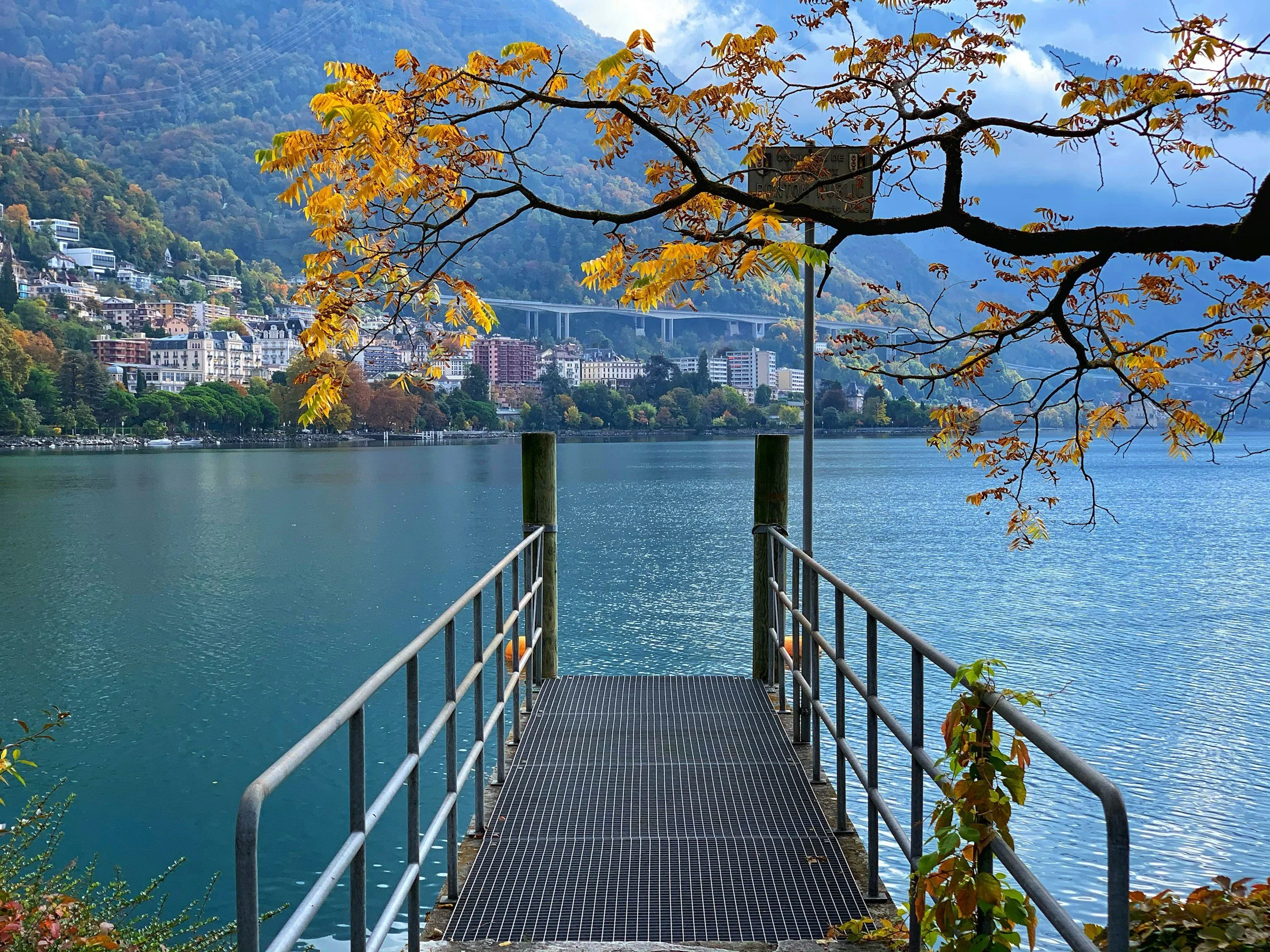 A metal dock extending into a lake with a tree branch overhead and a hillside cityscape in the background.