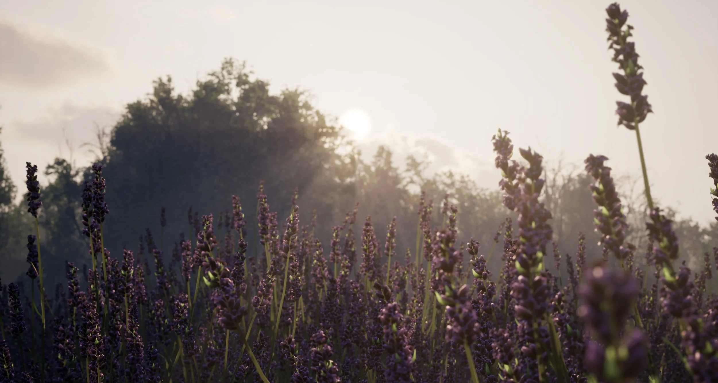 HighresScreenshotLavender.jpg