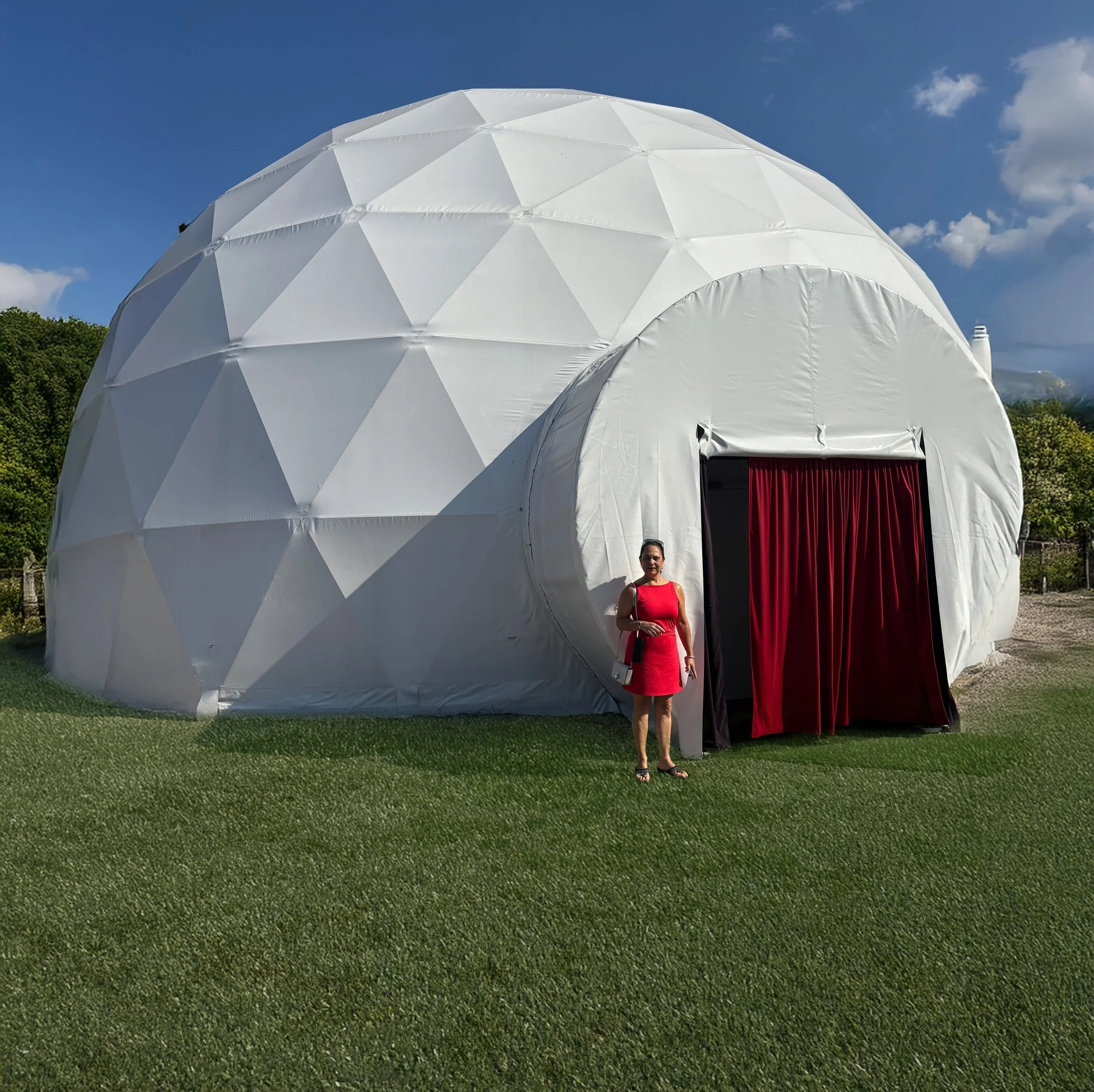 Violet Vault Dome