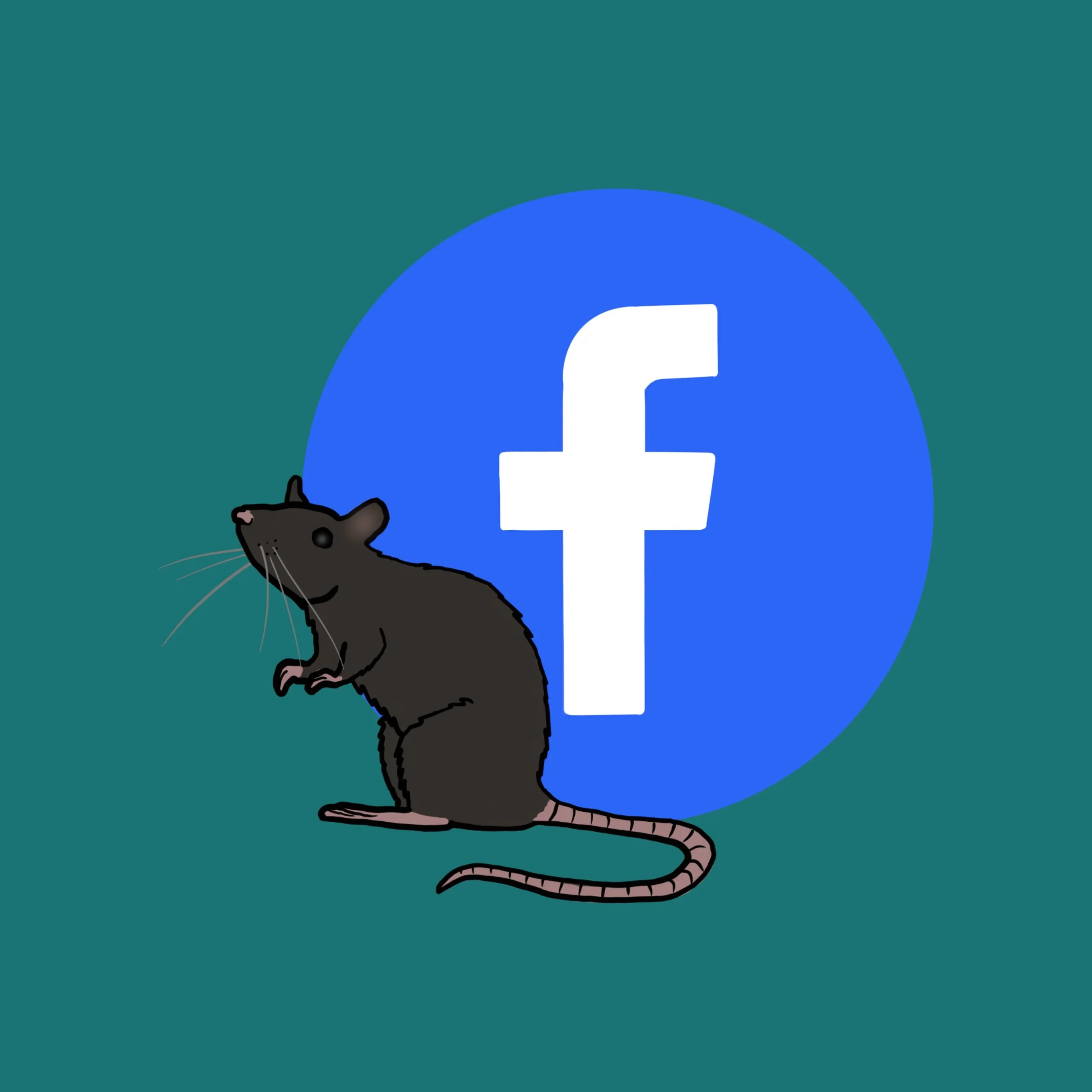 Facebook logo linking to VETO PEST social media business account for pest control services.