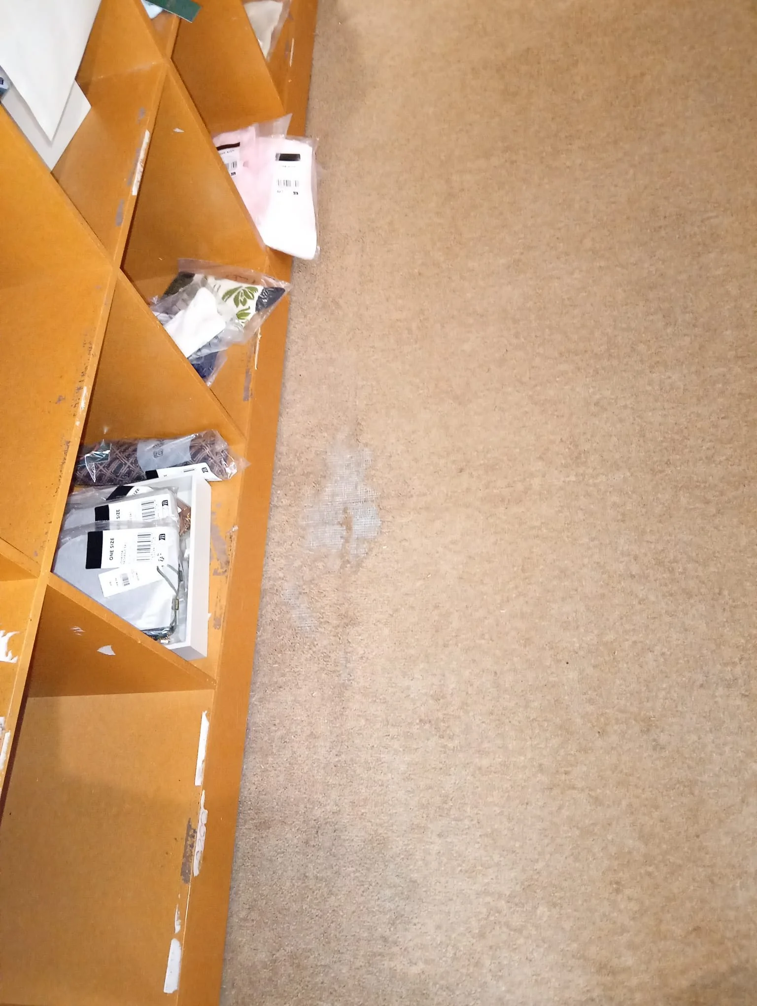 dda7933d-5aab-4e8f-ac75-e1ff18520269.jpeg