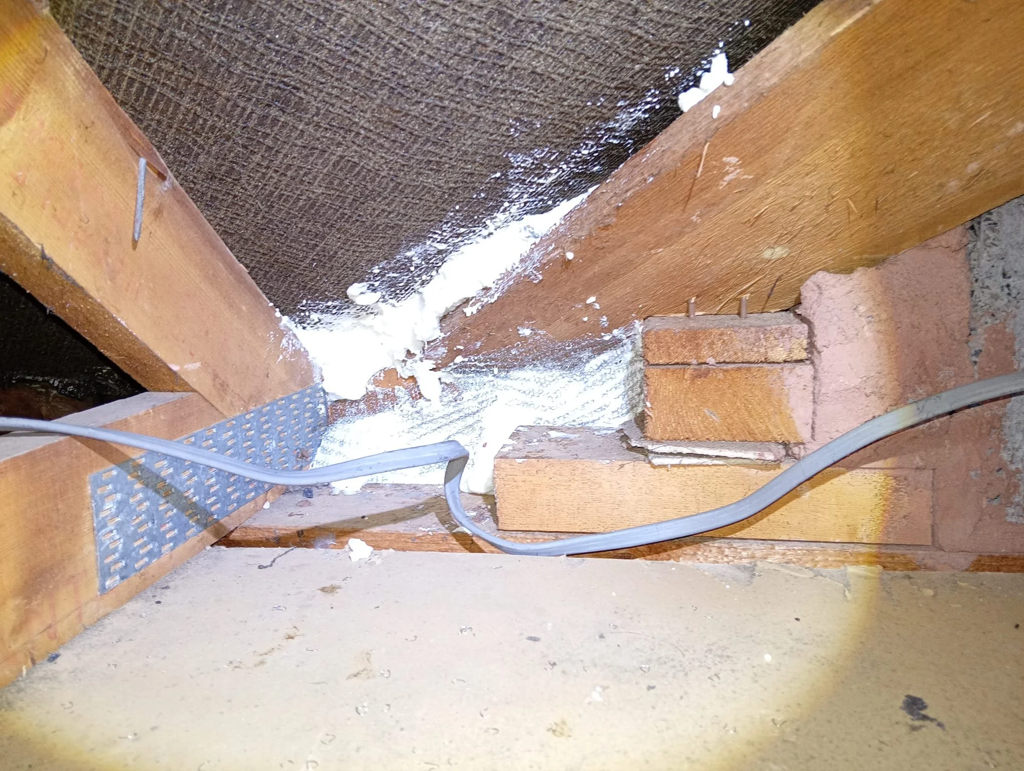 Rodent Proofing in Attic 