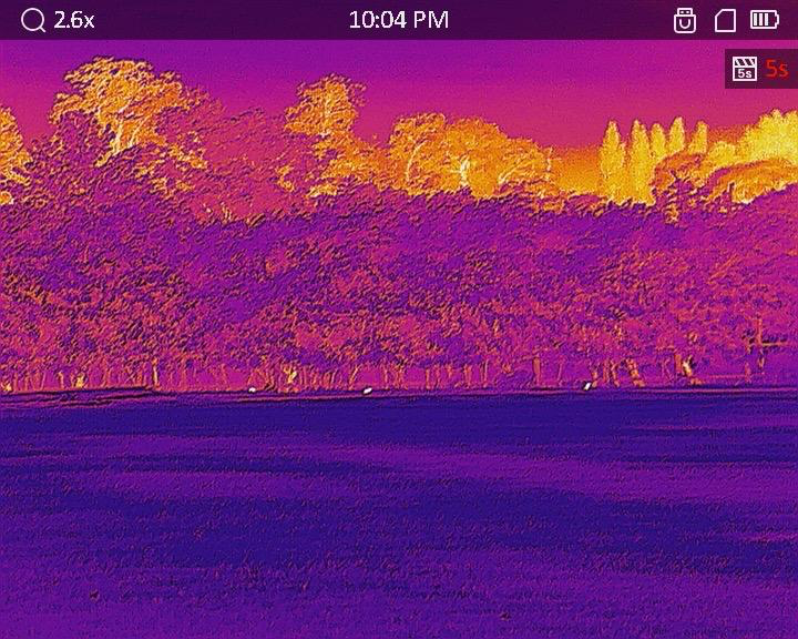 Thermal Images of Rabbits at a School