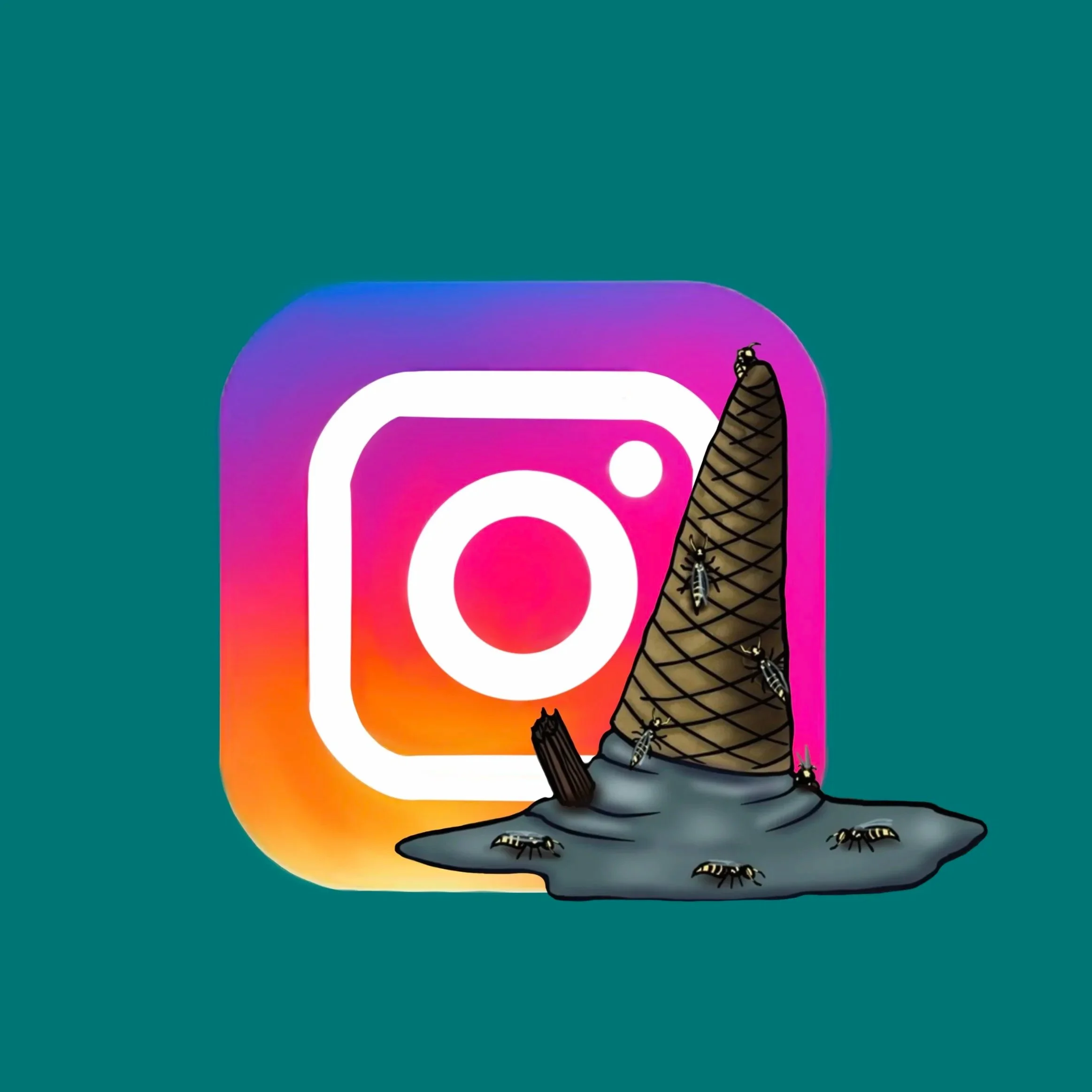 Instagram logo linking to VETO PEST social media business account for pest control services.