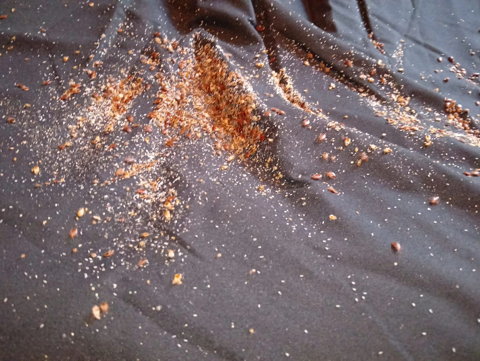 Bedbug Casing on Bed Sheet