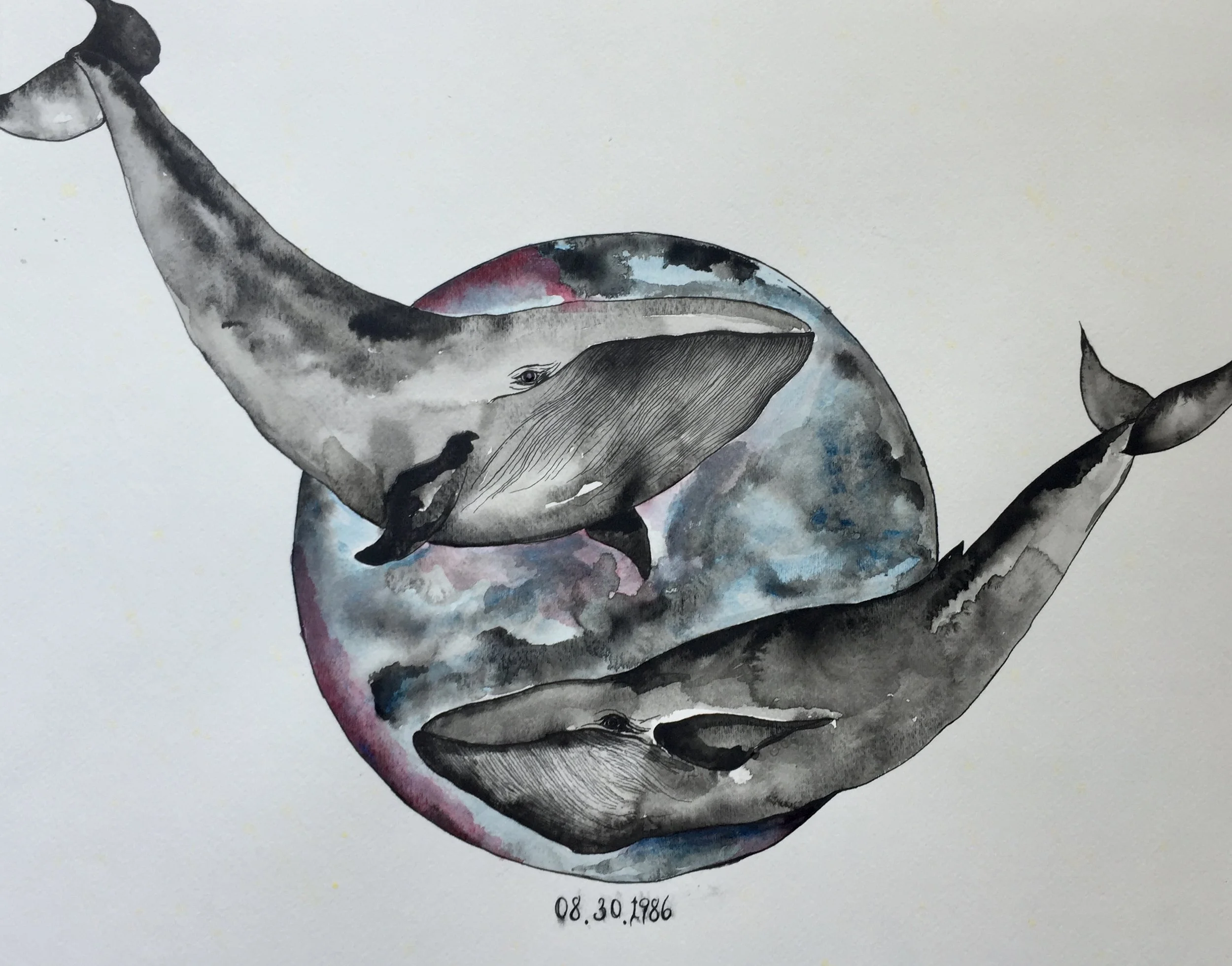 Massachusetts, USA. Watercolor and Ink