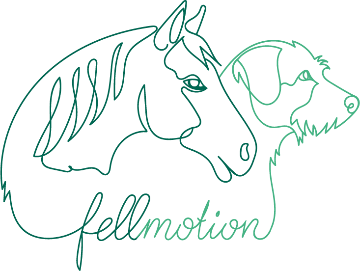 Physiotherapie, Chiropraktik und Osteopathie für Pferde und Hunde