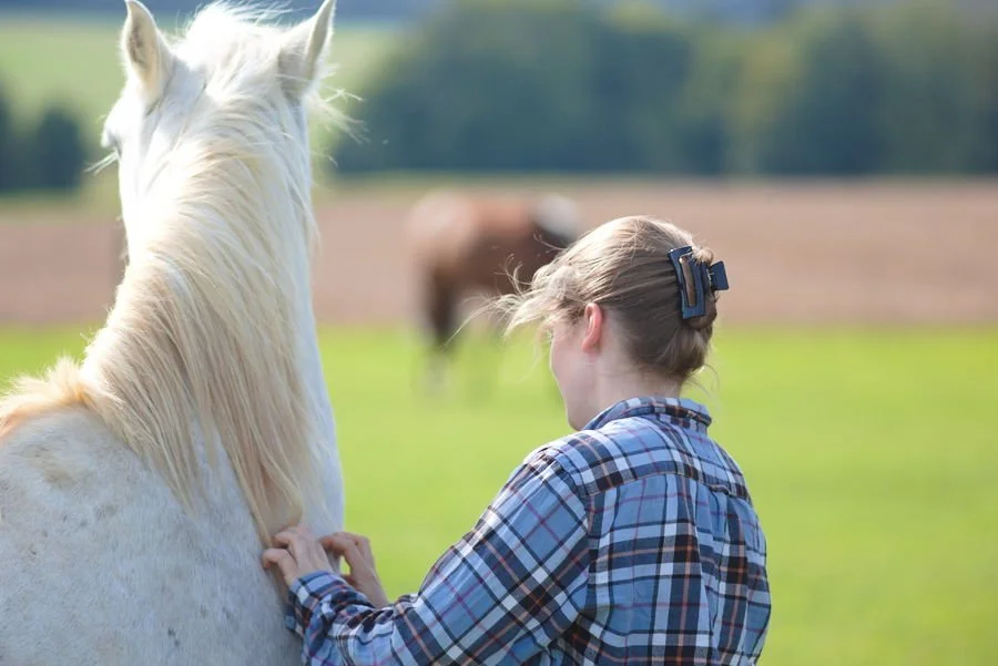 Eine Frau mit einem blauen karierten Hemd krault ein weißes Pferd am Hals.