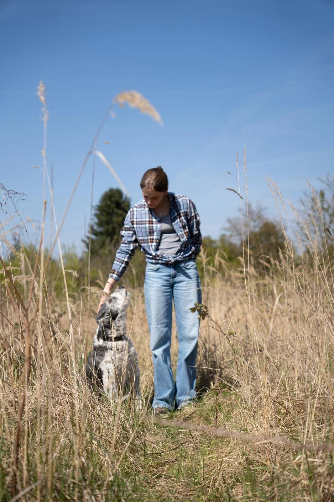 Junge Frau in Jeans und kariertem Hemd streichelt einen Hund im hohen Gras auf einer Wiese bei schönem Wetter.