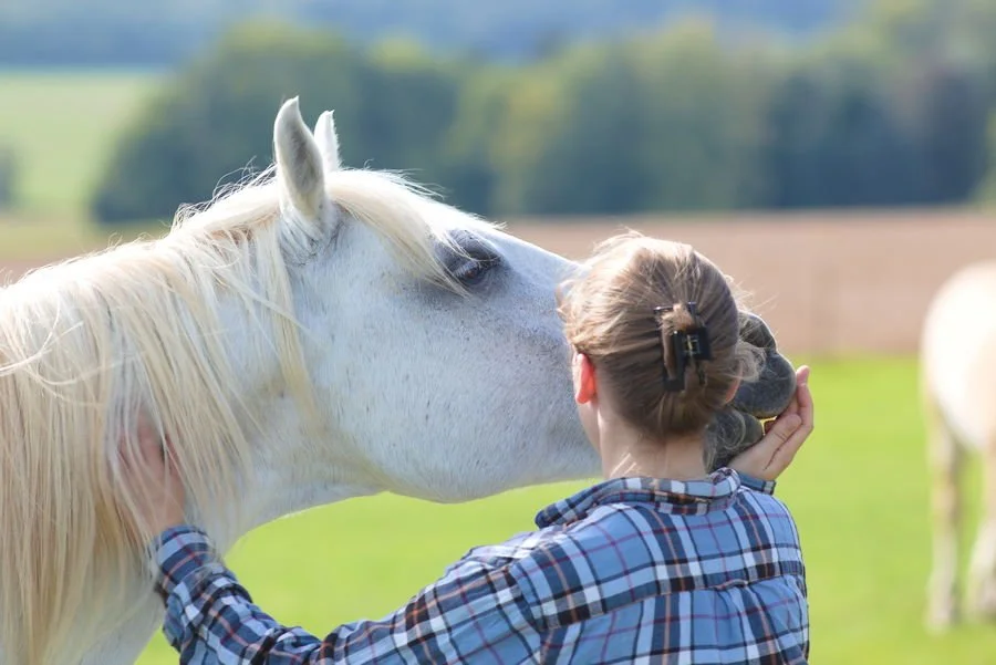 Eine Frau behandelt den Hals und die Kopfgelenke eines weißen Pferdes.
