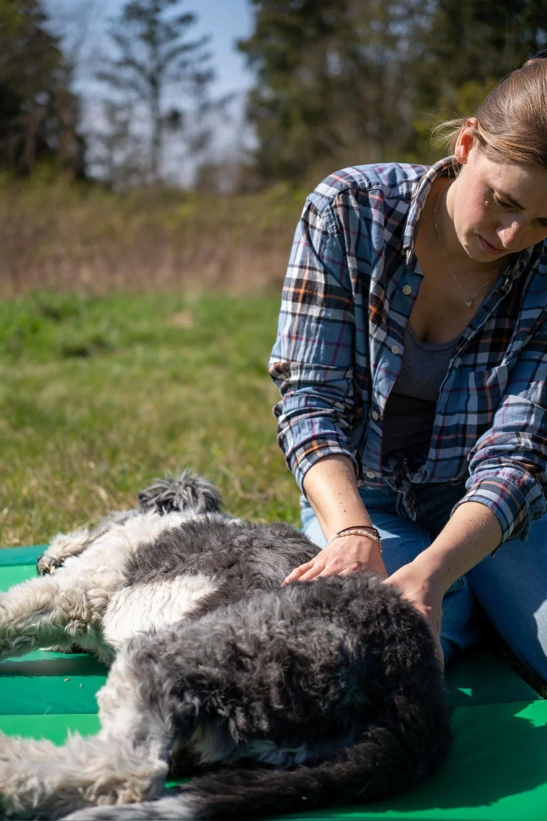 Eine Frau massiert einen Hund, der auf einer grünen Behandlungsmatte liegt.