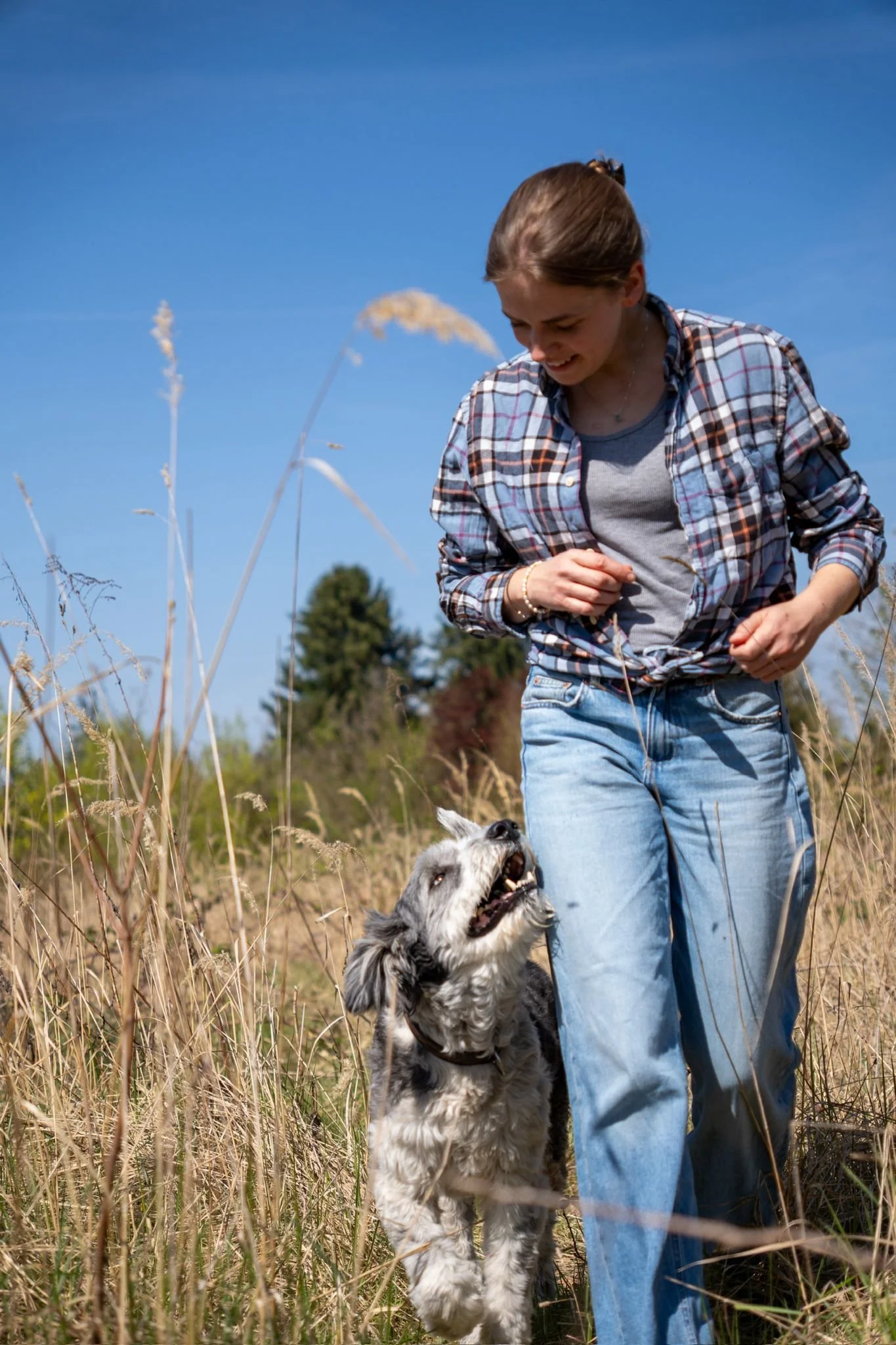 Junge Frau läuft mit ihrem Hund an der Seite, der sie freudig anschaut und sie ihn. Sie laufen durch eine hoch stehende Wiese mit strahlendem Sonnenschein und blauem Himmel.