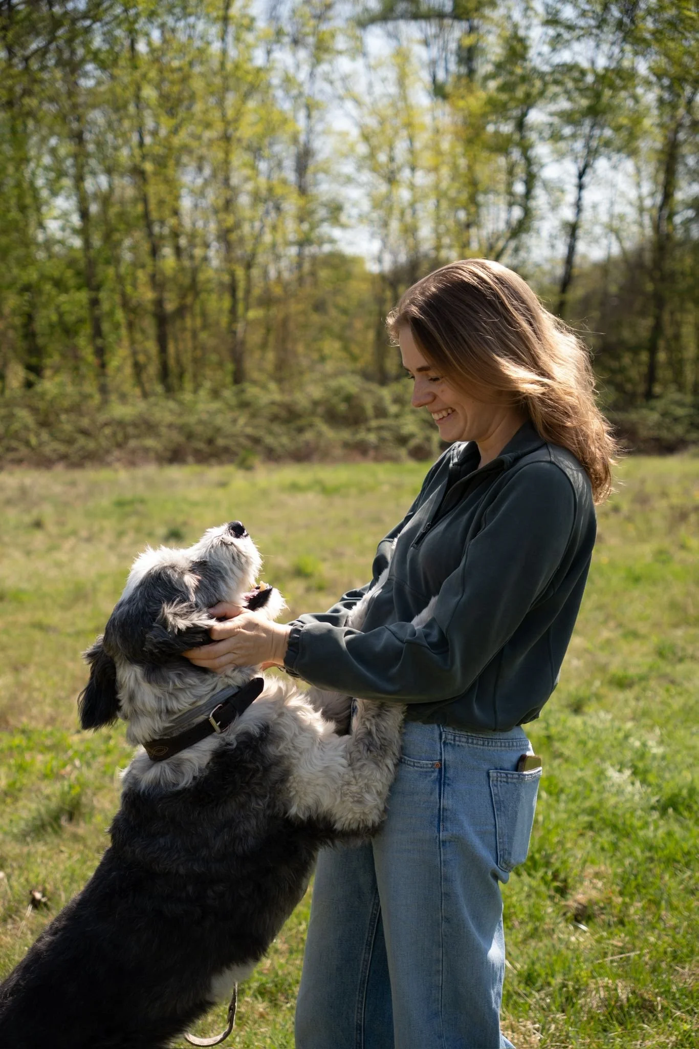 Eine Frau steht auf einer Wiese mit Wald im Hintergrund und ein Bordercollie-Mix spring zu ihr und lässt sich kraulen.