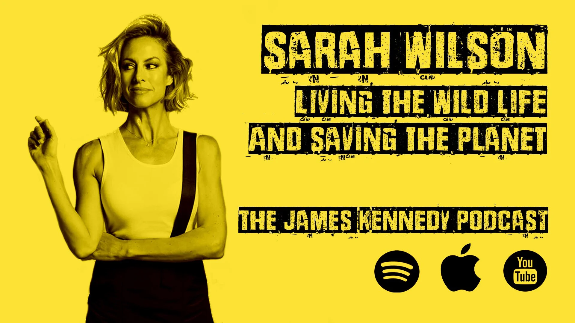 SARAH WILSON - HOW TO LIVE THIS ONE WILD AND PRECIOUS LIFE