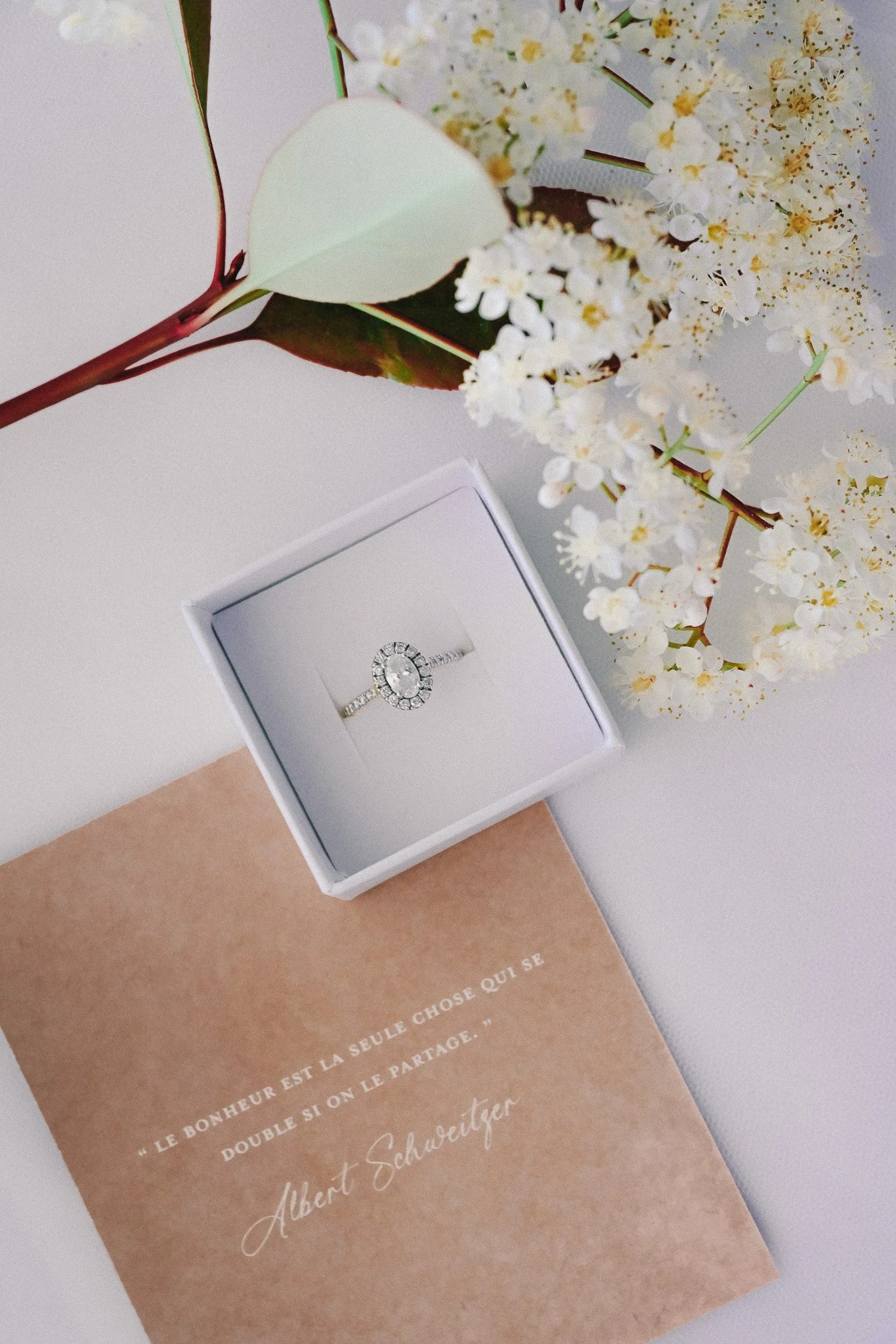 Une bague en diamants déposée dans un écrin blanc, posé sur un livre en papier kraft, avec des fleurs blanches en arrière-plan.