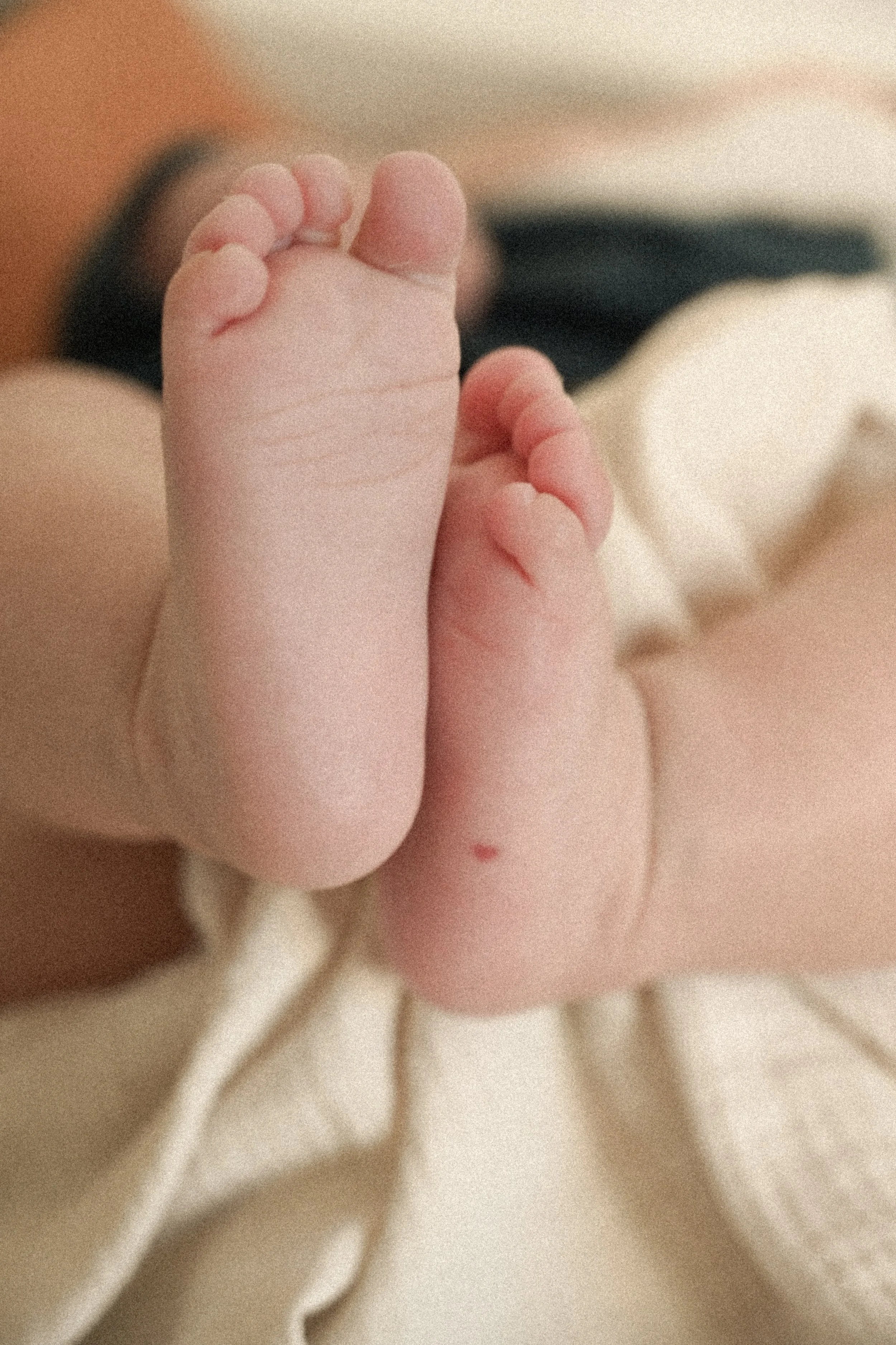 Gros plan d'une main de bébé pliée avec des doigts ronds et doux.