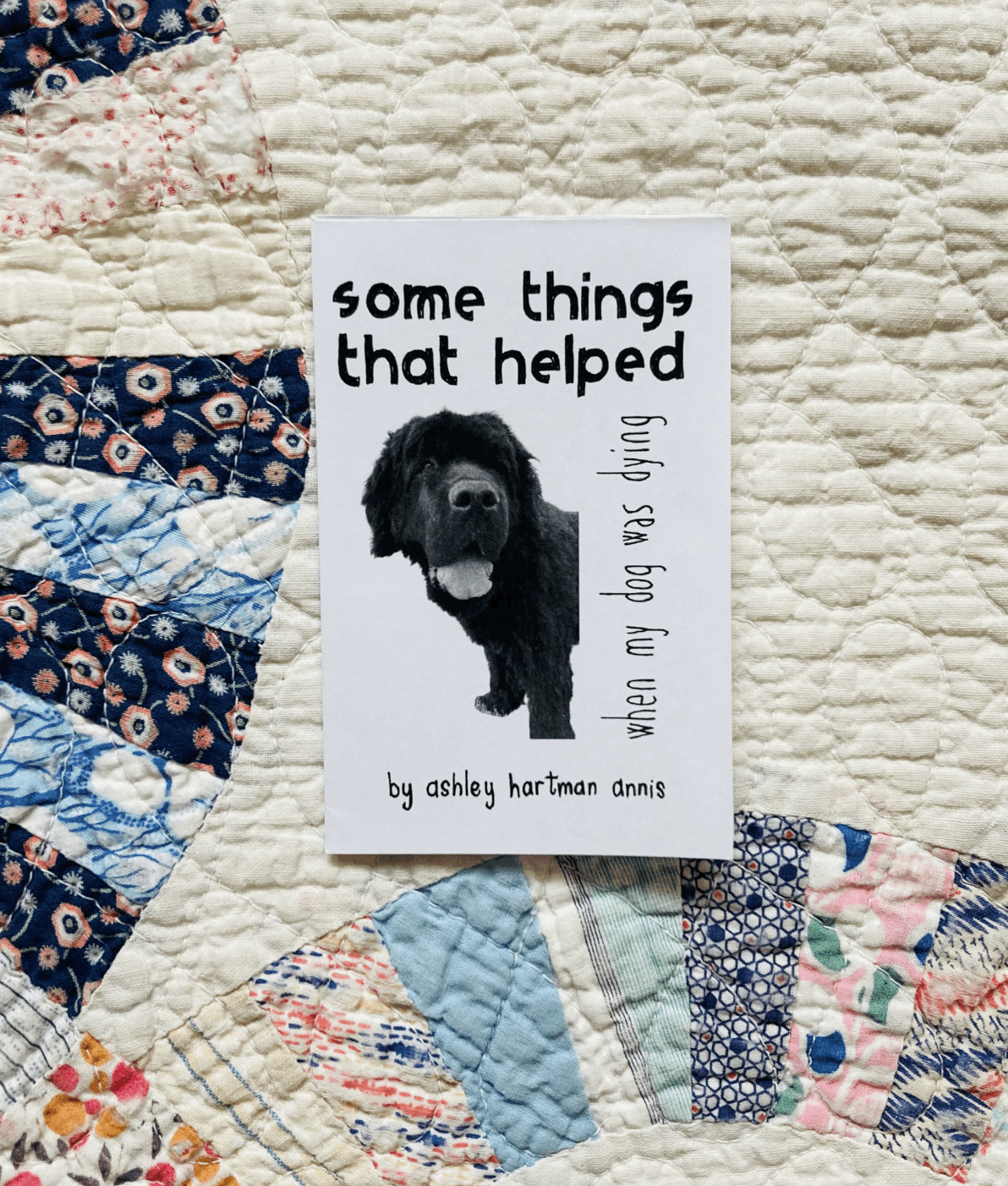 Some things that helped when my dog was dying