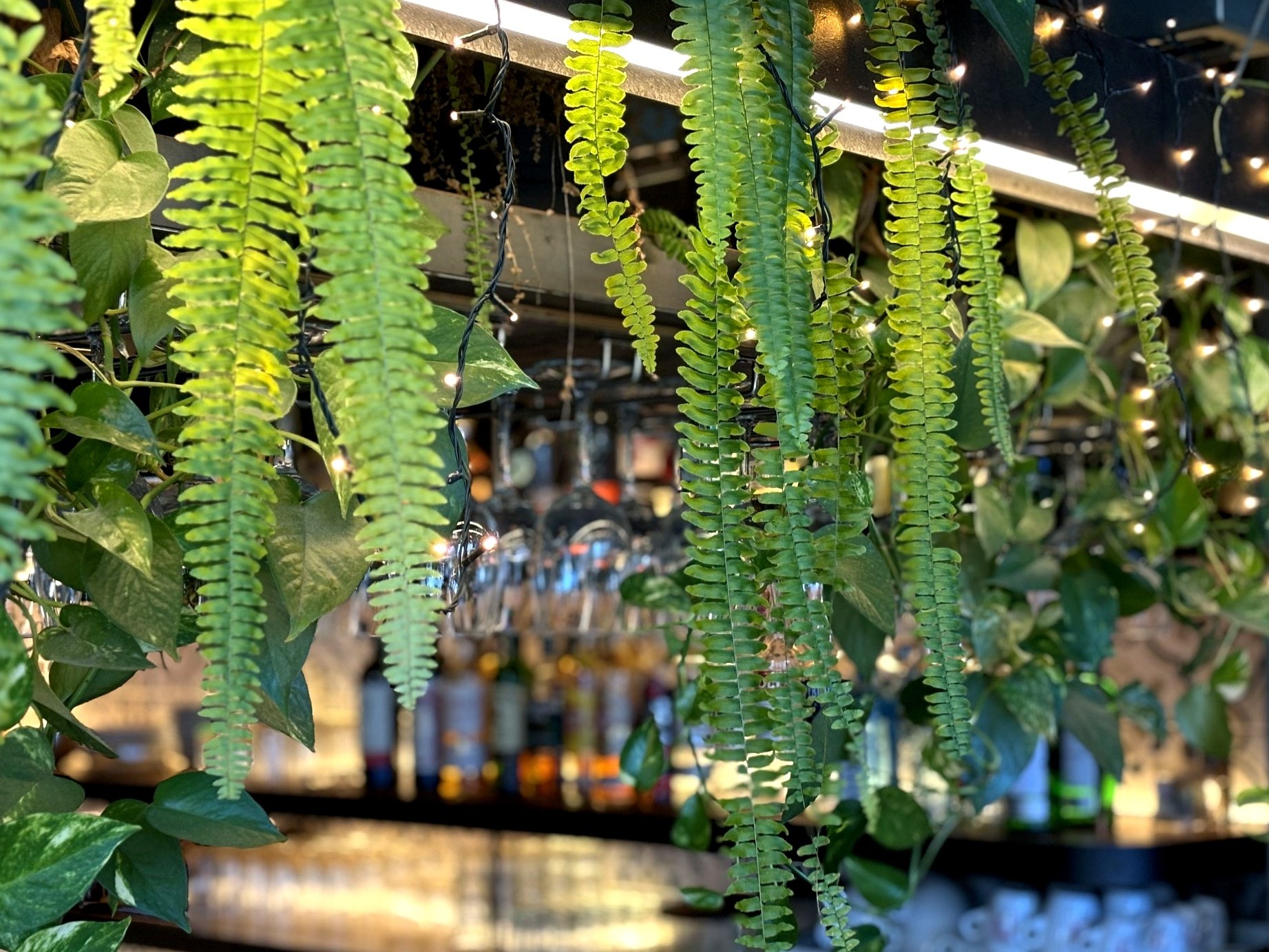 mpampouras kafeneio melpomeni house