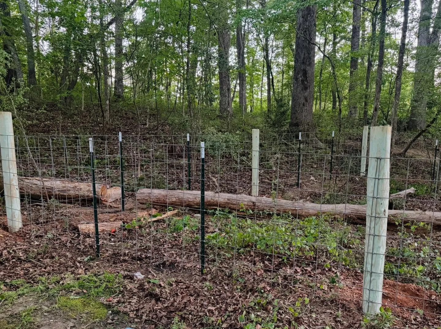 Quick turnaround today on this Gainesville job&mdash;dog &amp; pig pens ready for pigs rolling in Monday 🐖 If it needs fencing, we&rsquo;ve got it handled. Call or text us! 706-973-8126 or visit our website www.faithlinefenceco.com 
&bull;
&bull;
#n