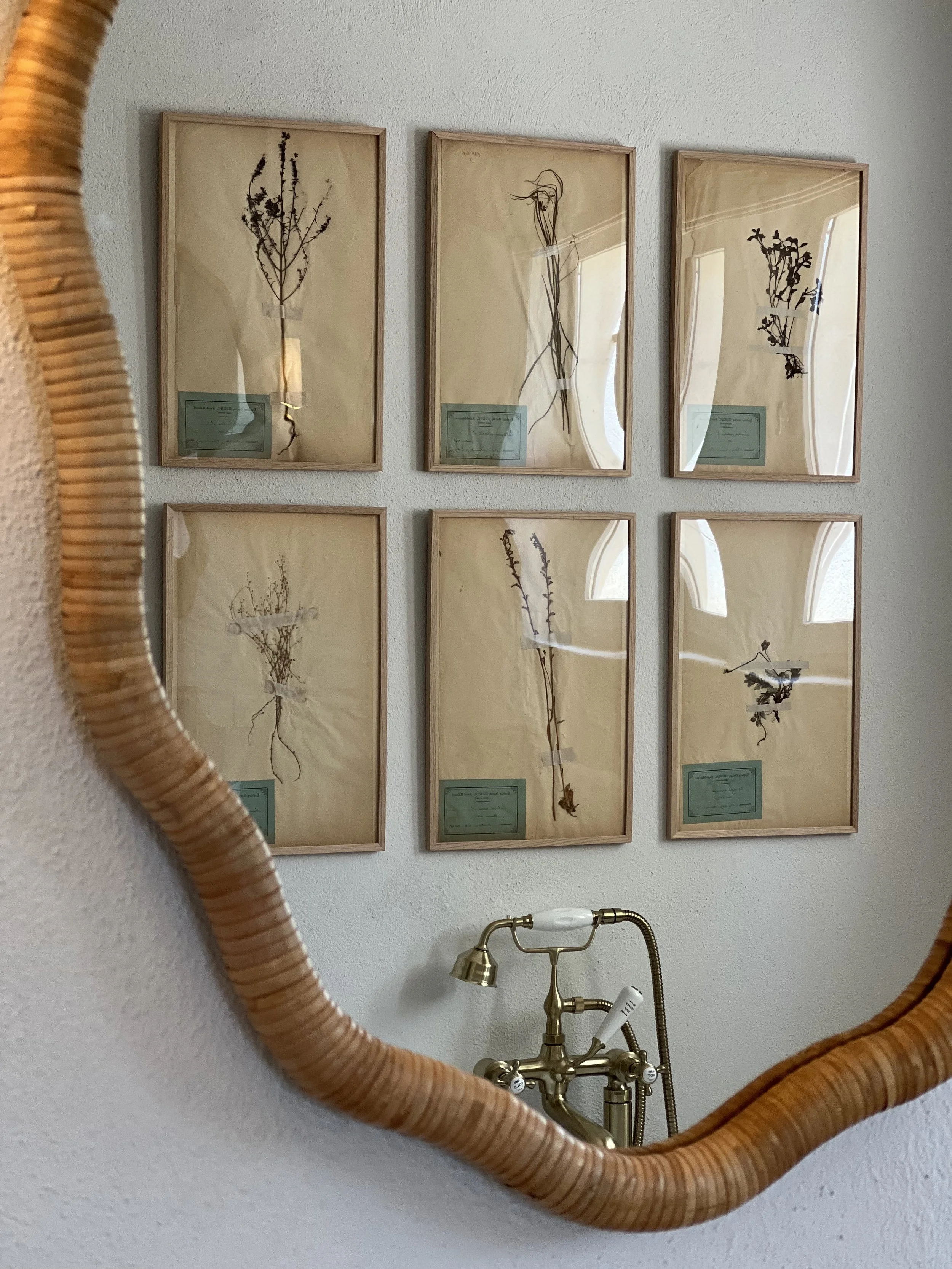 herbiers, rattan mirror 