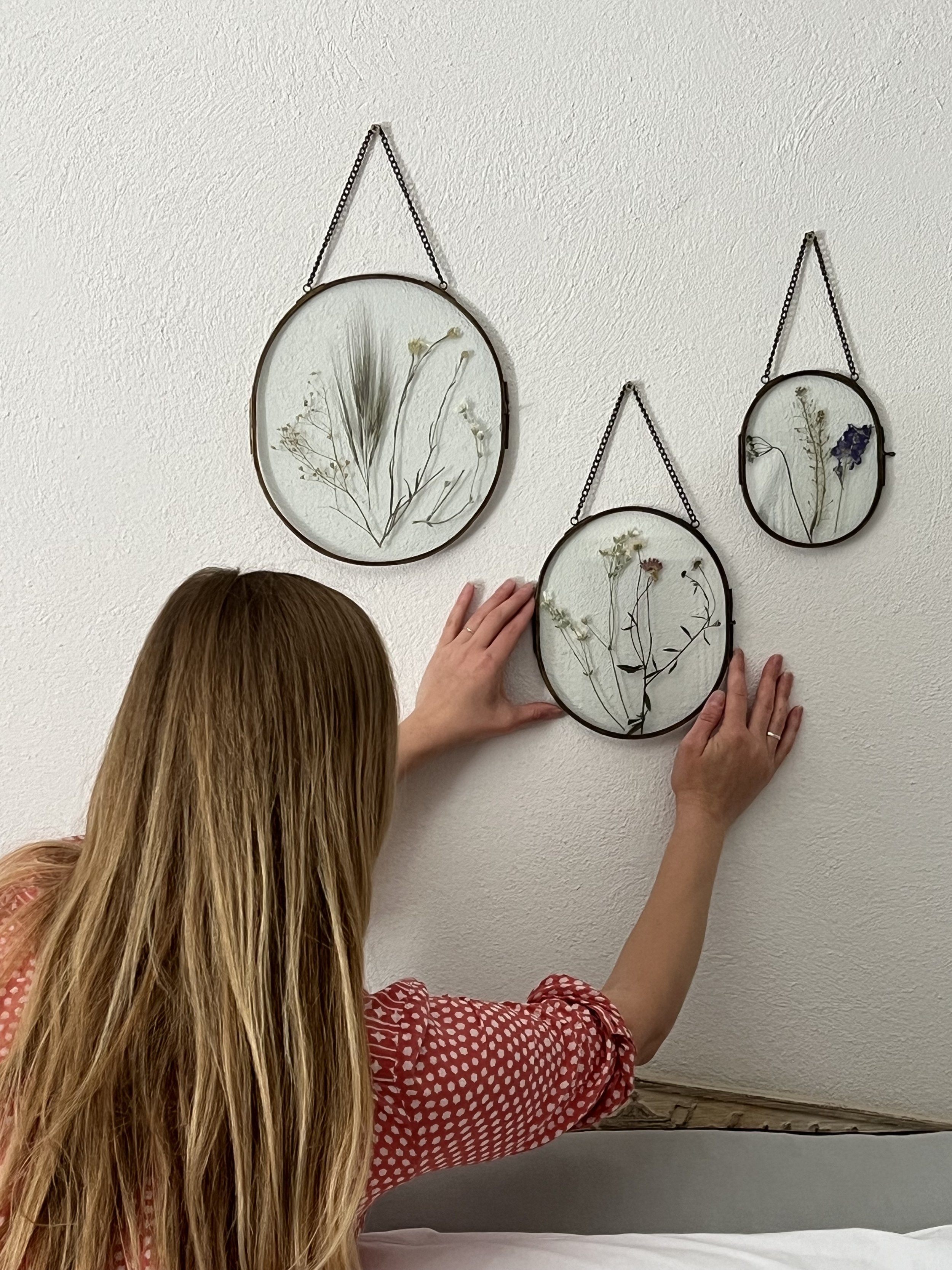Herbiers being hung on the wall