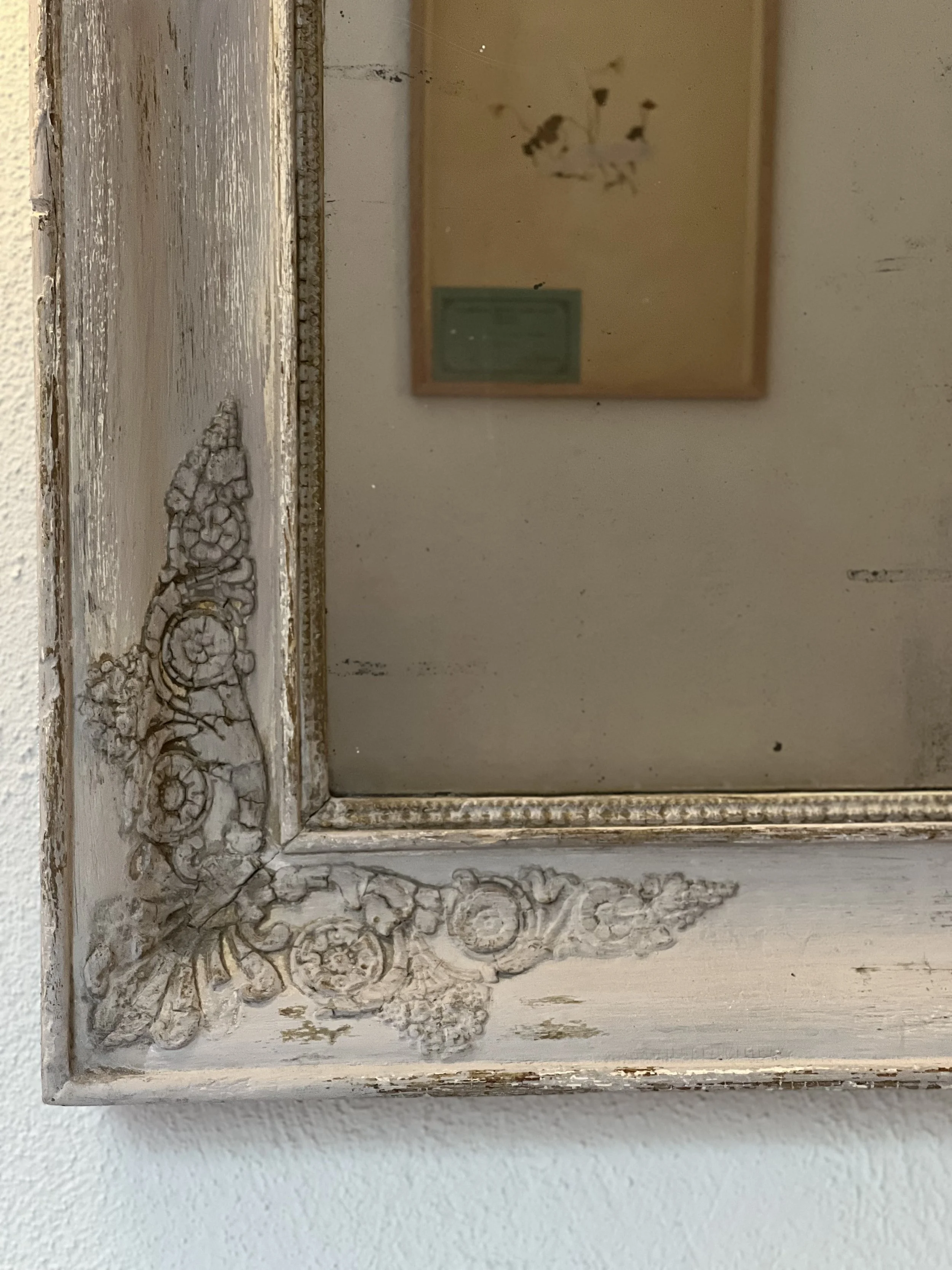 antique mirror detail, herbier
