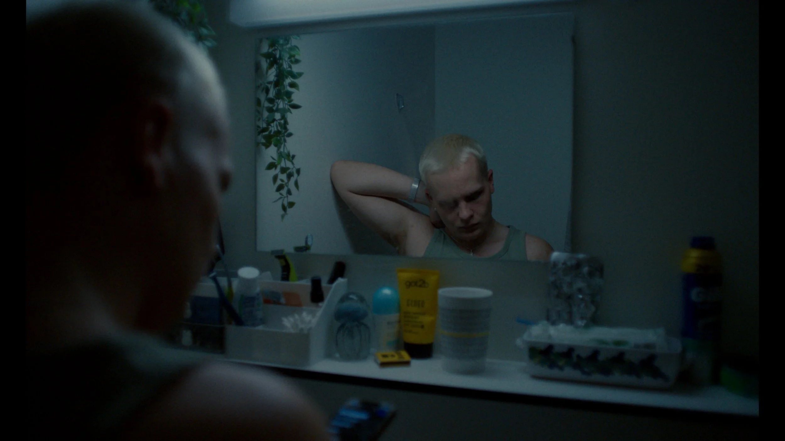 Still 2025-05-20 113000_1.1.62.jpg