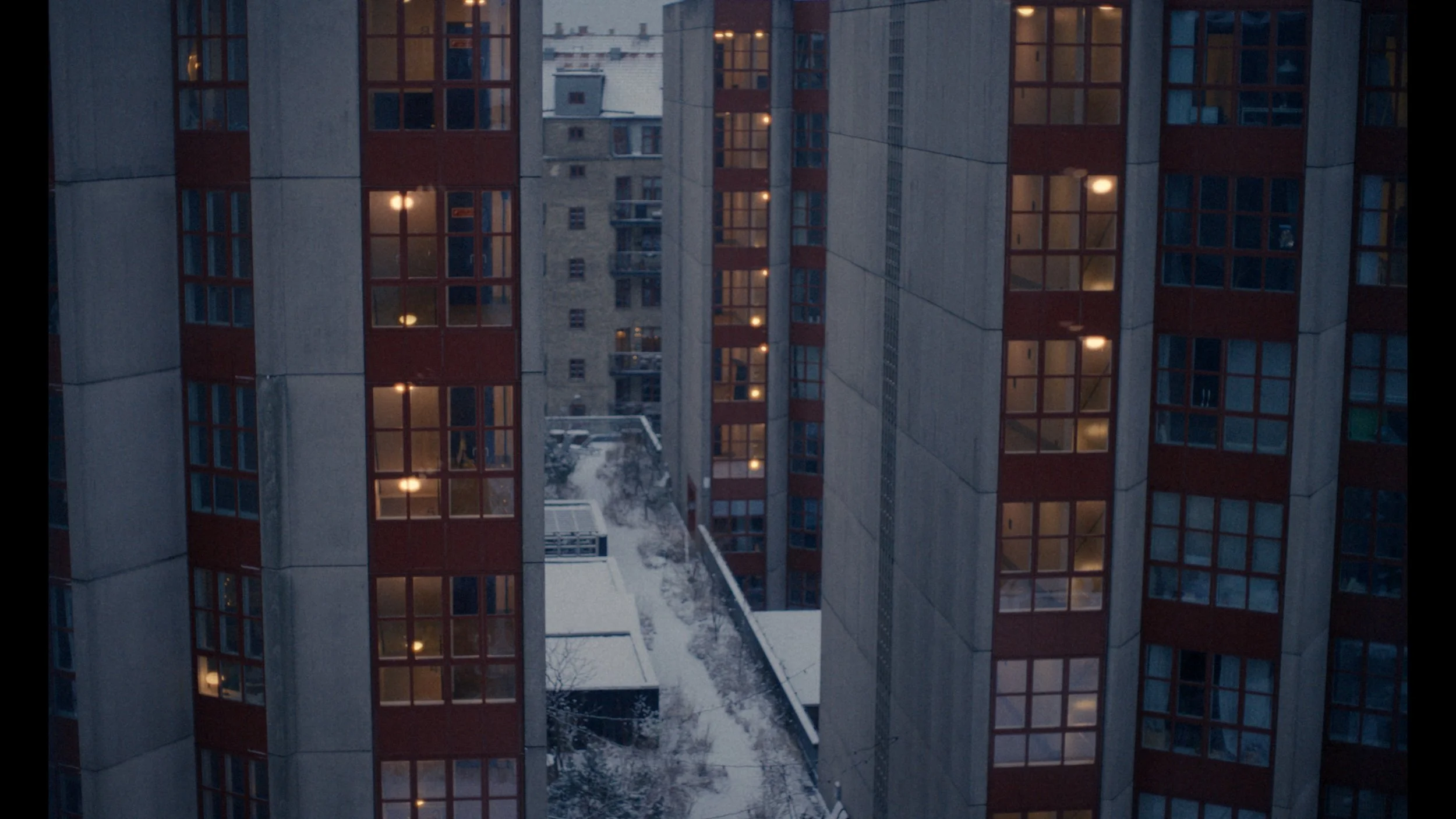 Still 2025-05-20 113000_1.1.45.jpg