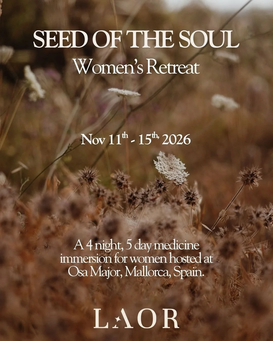 SEED OF THE SOUL ✨✨✨

Each year, this retreat becomes a sacred garden, where we plant seeds of intention, growth and awakening. It is a gentle yet powerful journey into the heart, into who we truly are as women, as creators, as vessels of light.

Nov