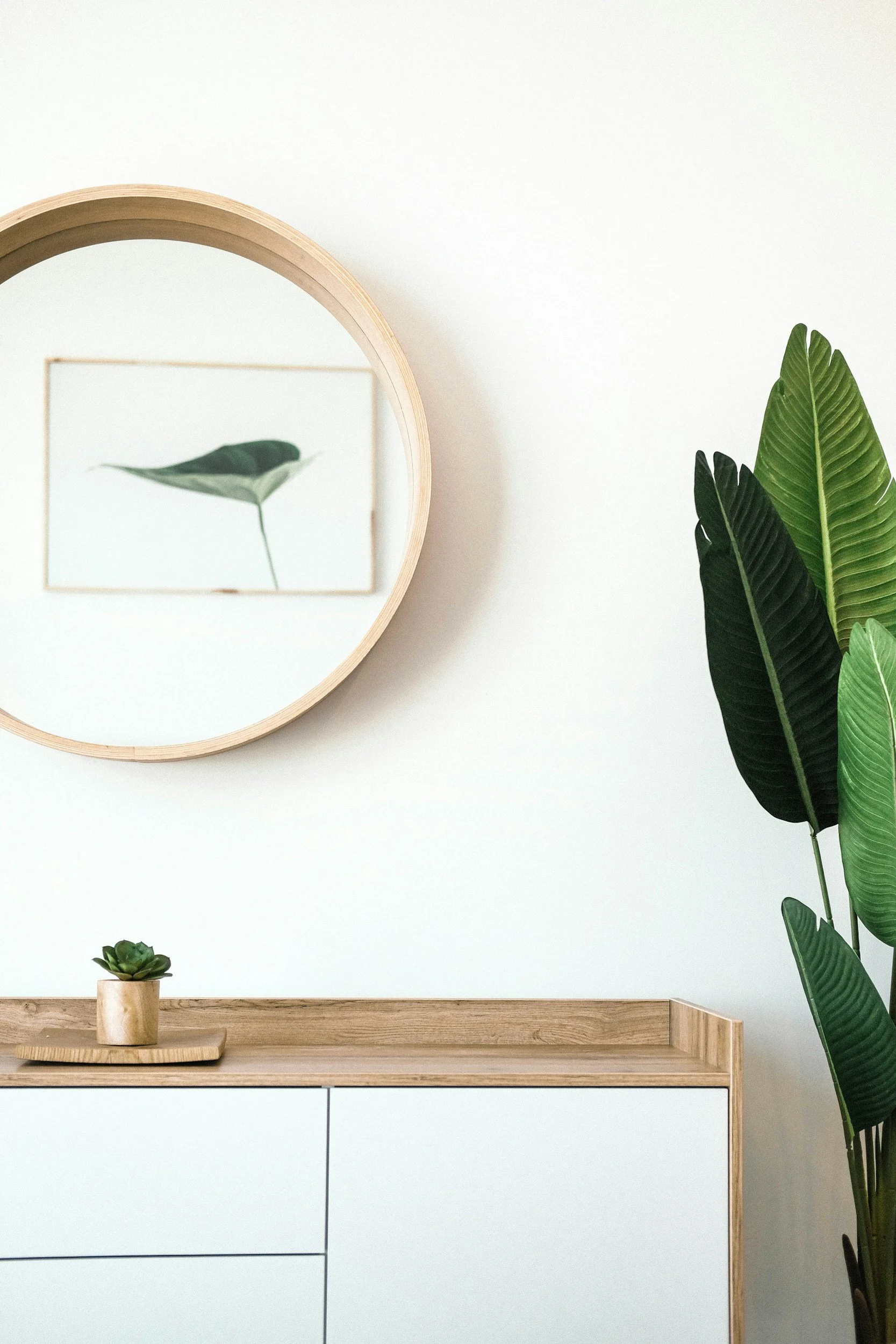 Interior of a minimalist room with a white cabinet, a decorative tray with a small potted succulent, a large green plant, a round mirror on the wall, and a framed leaf print.