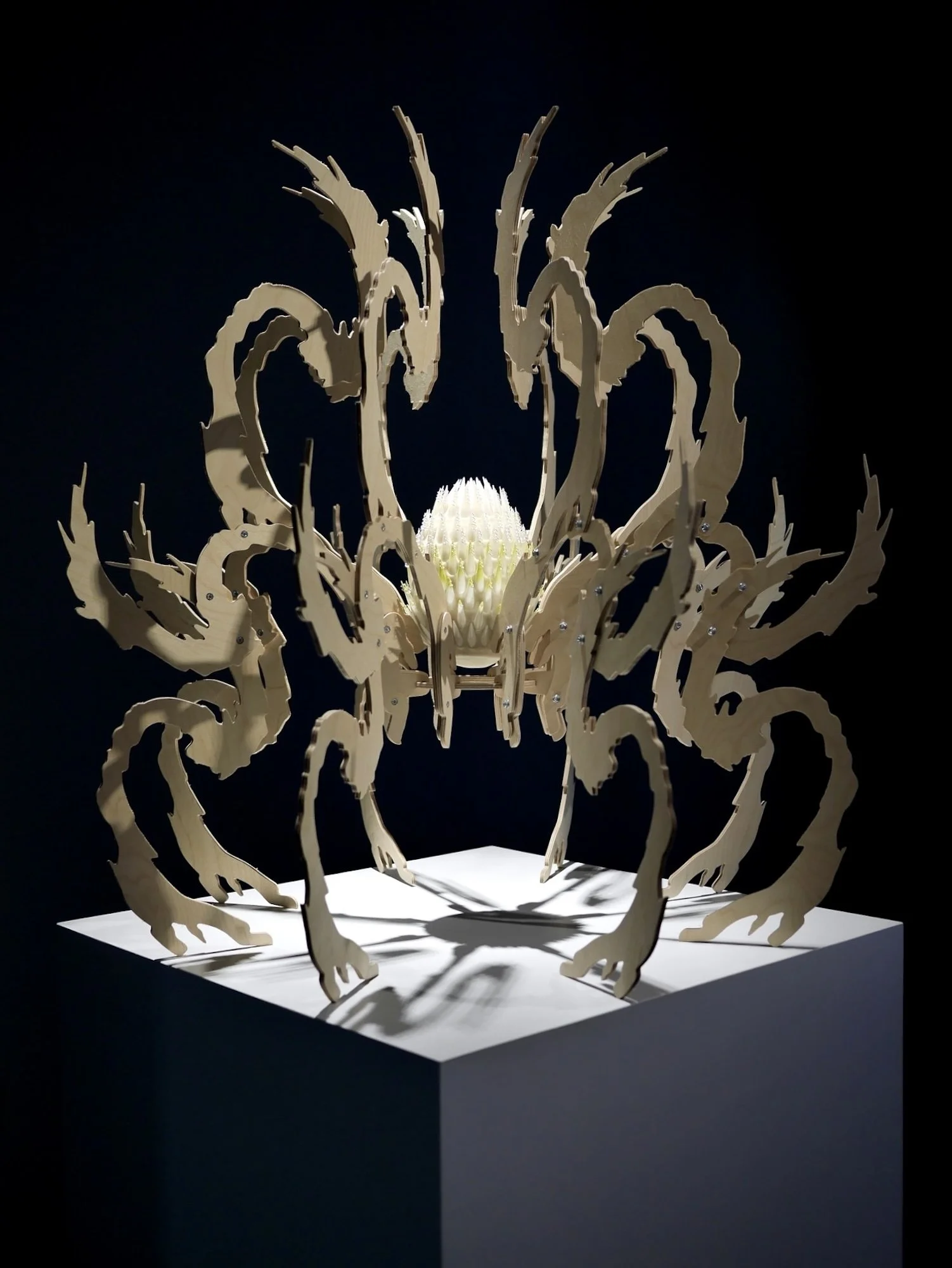 jule-tabea-martin-protect-to-deflect-wilhelm-hack-museum-2025.JPG