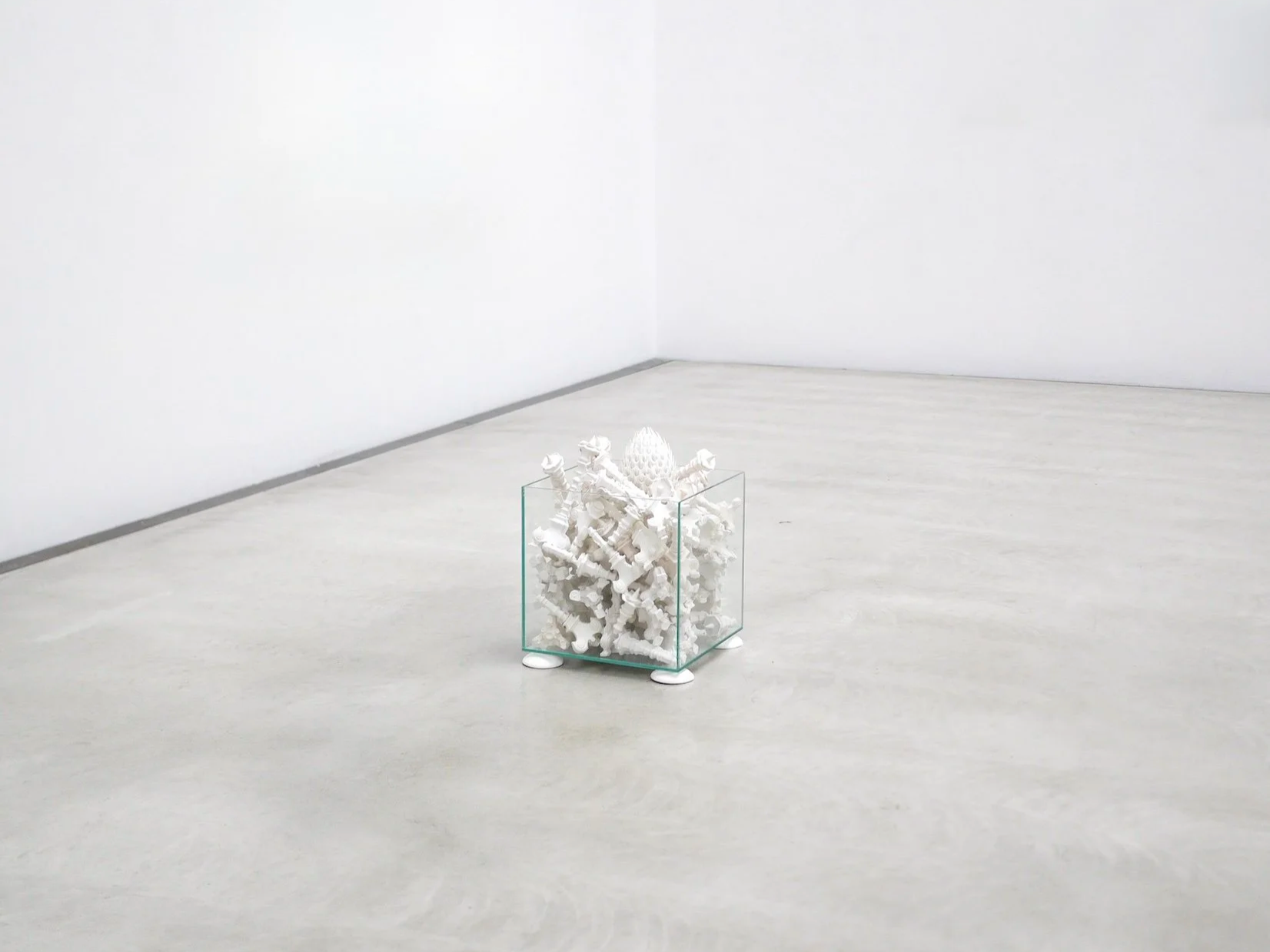 Jule Tabea Martin, Protection, sculpture in glass vitrine, installation view, Oktogon Dresden 2025