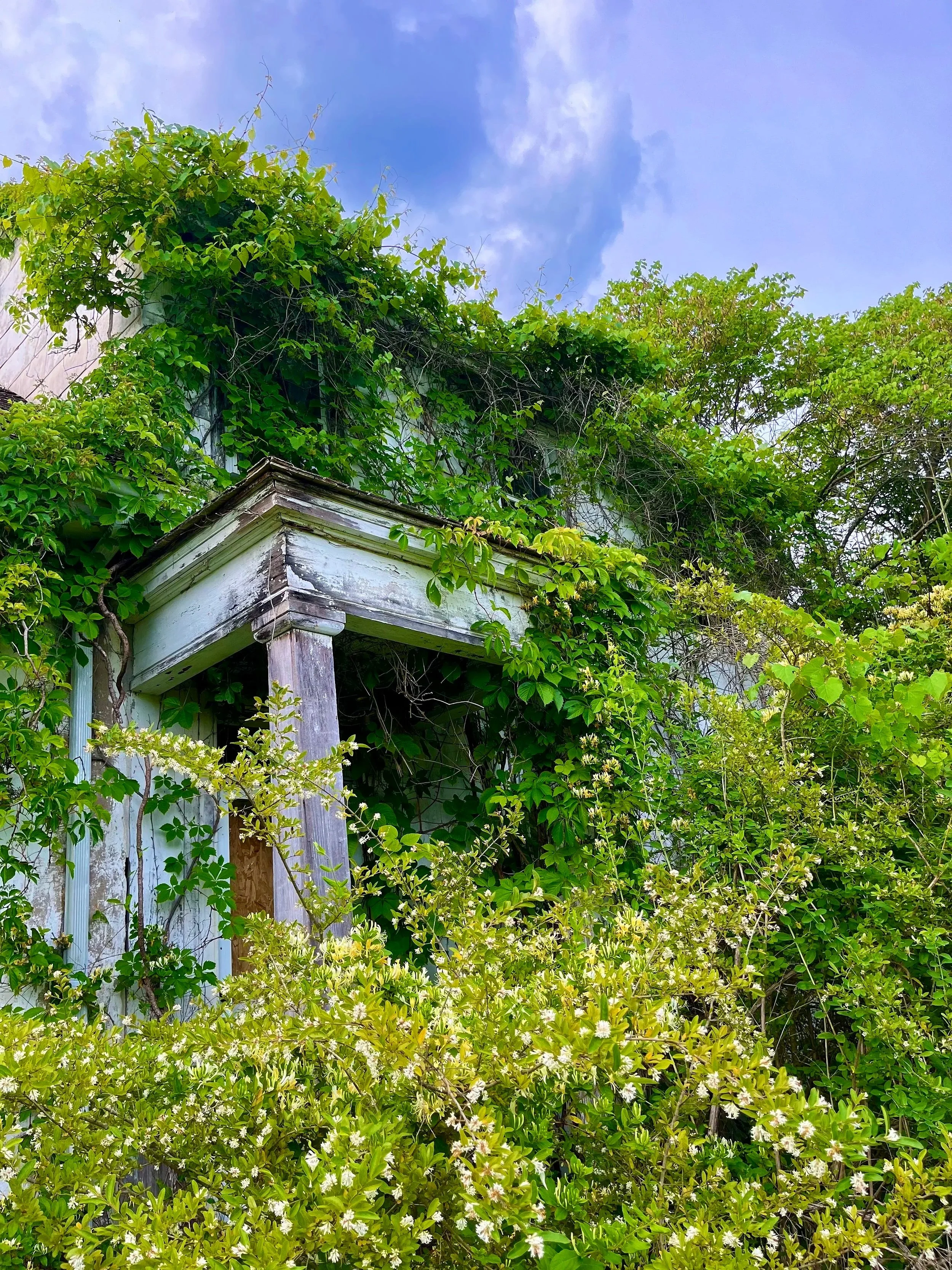  The Art of Abandonment   
I am fascinated by abandoned spaces, like this old house near Church Rd on the NJ side of Washington Crossing Park. The history is alluring, as is the way nature reclaims these structures; the organic process of enfolding a
