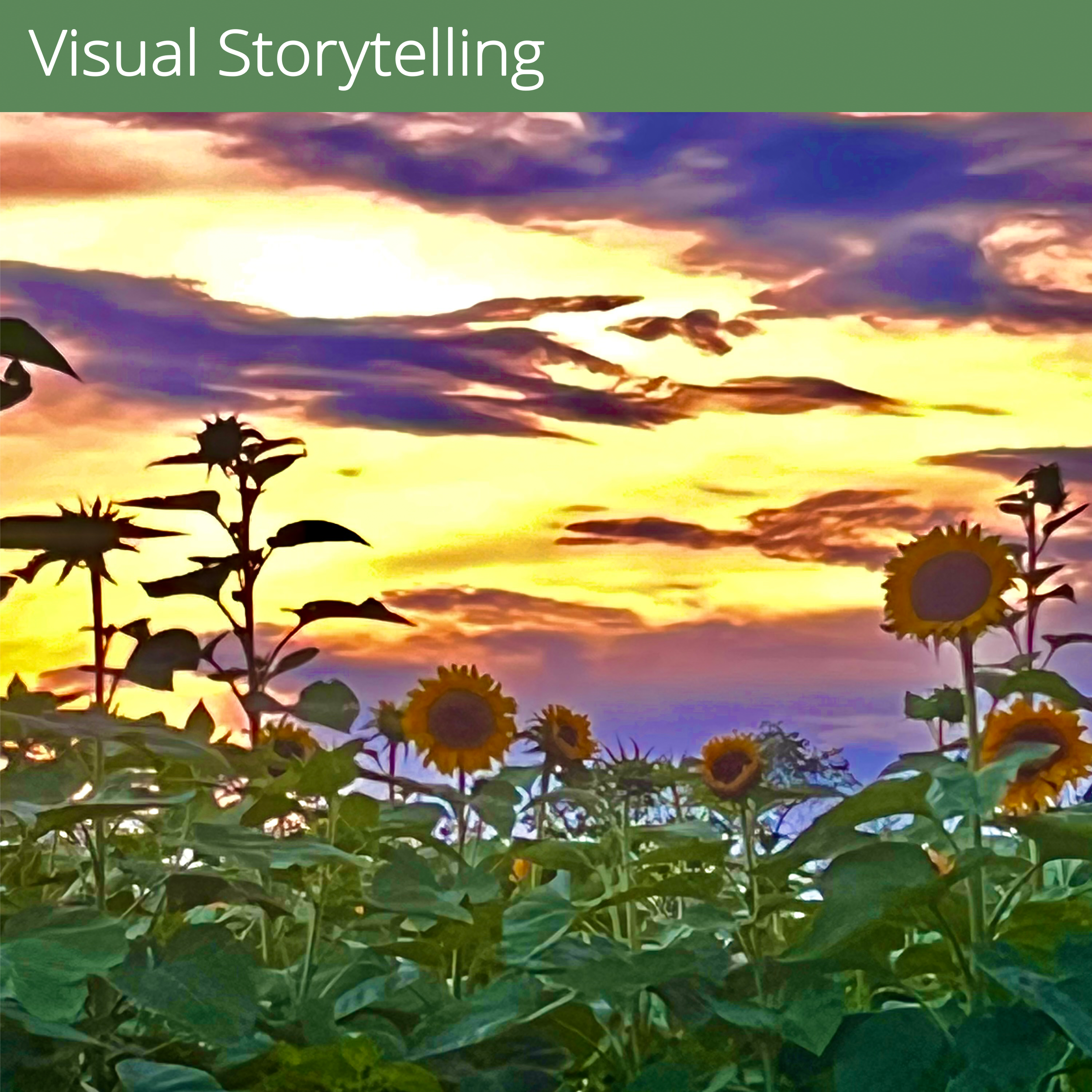 Visual storytelling informs Diana’s writing and how she moves through the world, often on a bike or on treks through nature. Her camera functions as both notebook and compass, guiding attention and shaping narrative.