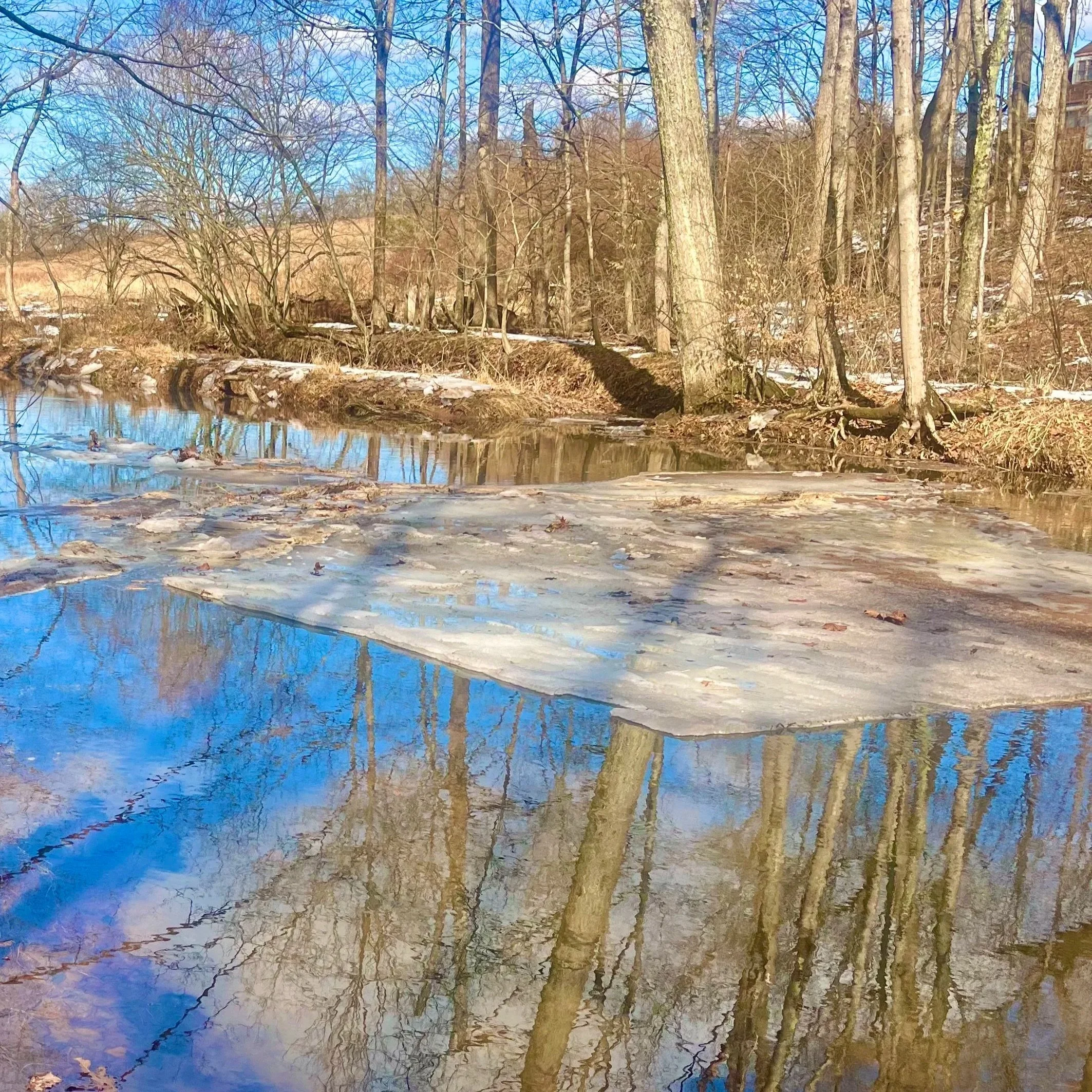 Reflections Along Jacob’s Creek