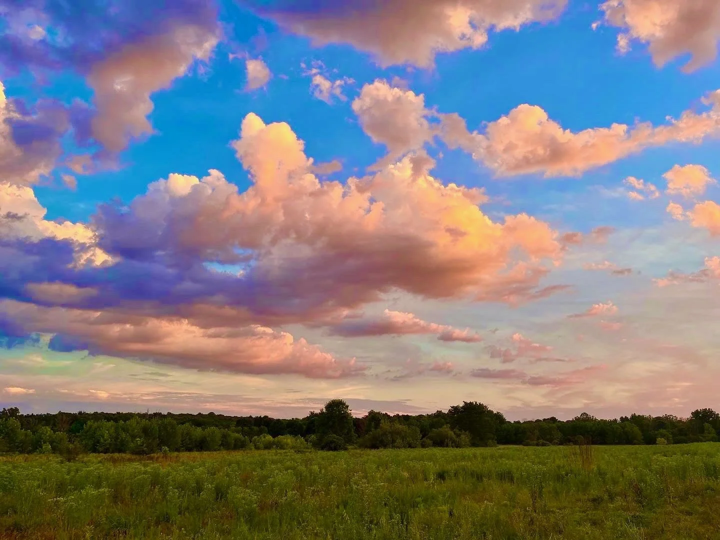  Glory   
I am drawn to the paths and fields near my home on my early-evening bike rides. I remember this moment so well. I reached one of my favorite stretches of the Lawrence Hopewell Trail, parallel to Old Mill Road, and paused for a beat to admir