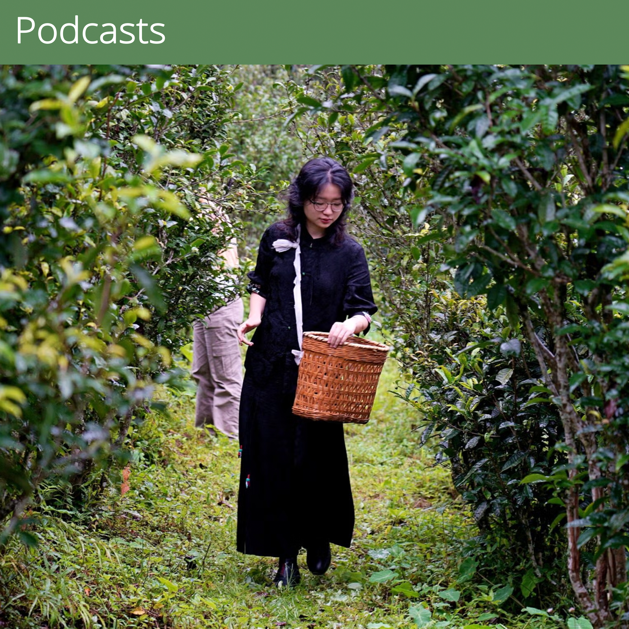 For several years, Diana hosted the Wharton School’s Future of the Business World podcast, featuring vibrant and informative discussions with  young entrepreneurs from around the world.