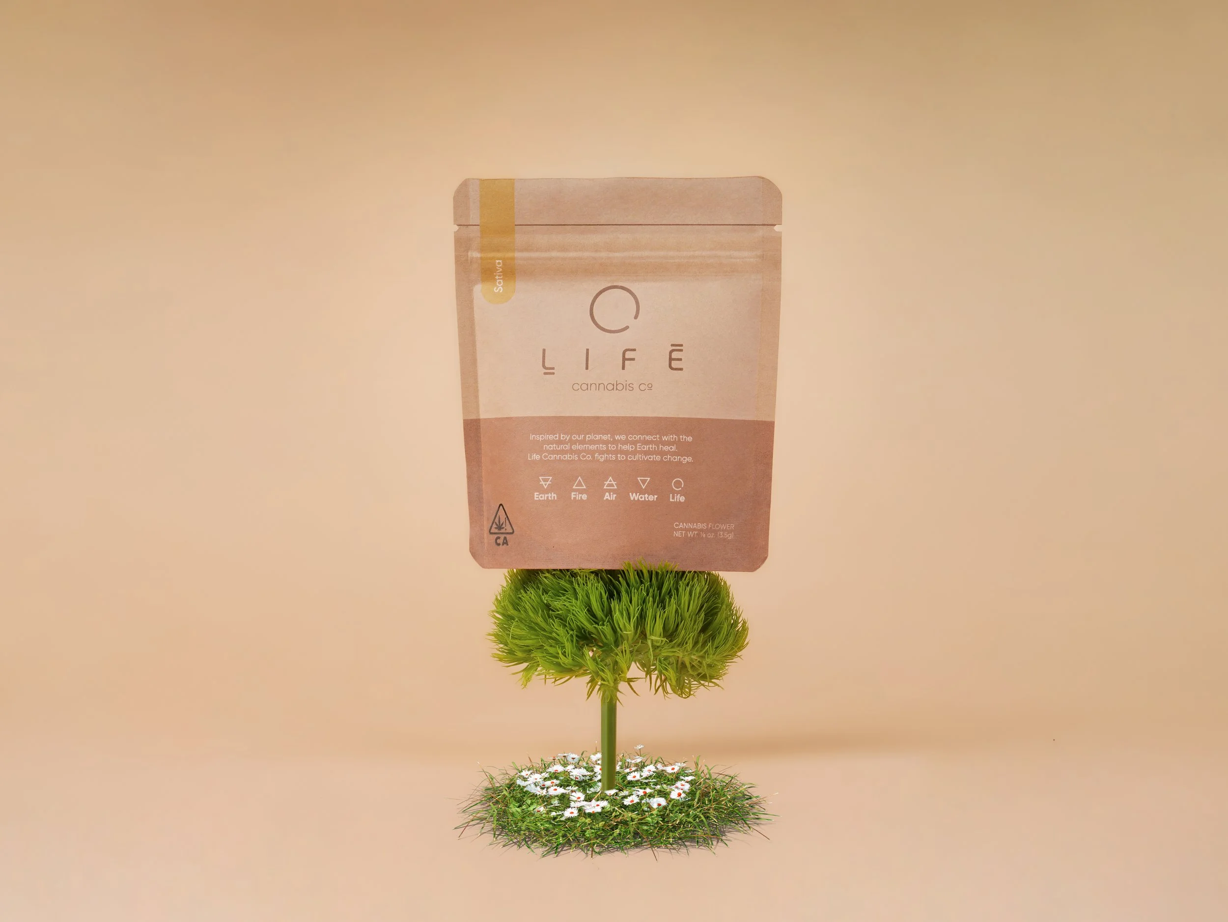 Life cannabis brand minimalist packaging product photography, Los Angeles California