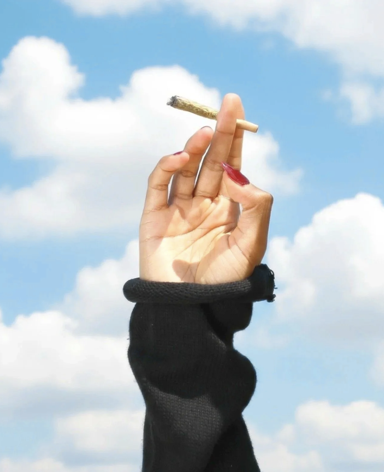 Cannabis lifestyle photography hand holding joint outdoors, Los Angeles California
