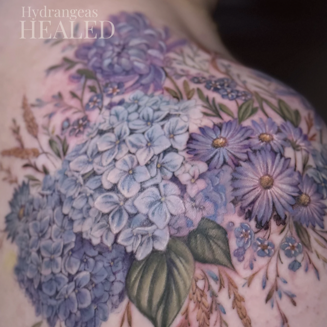 Sophie-burke-painterly-floral-healed-tattoo-Wirral+-+Sophie-Burke-hydrangea-floral-tattoo-wirral.png