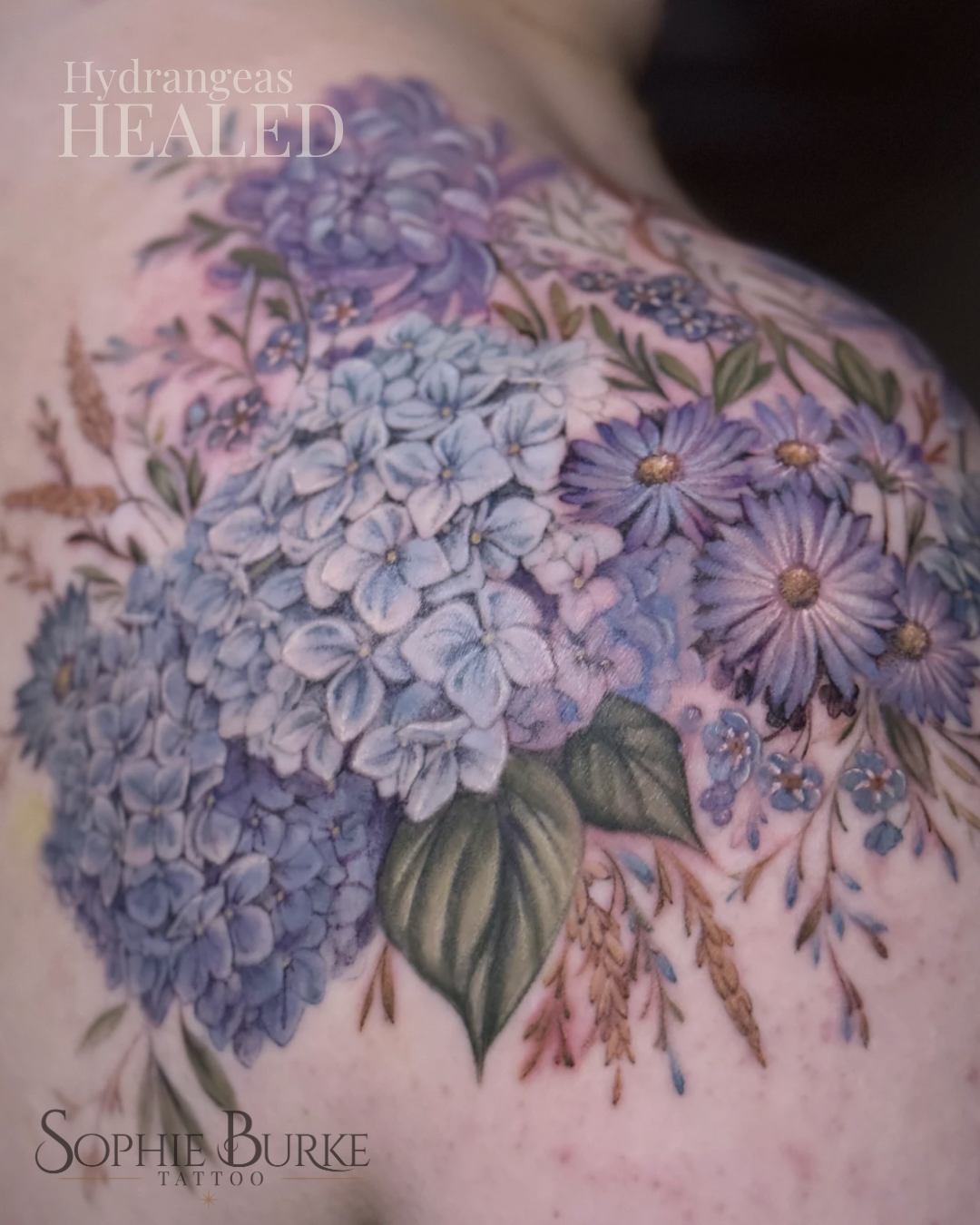 Sophie-burke-painterly-floral-healed-tattoo-Wirral - Sophie-Burke-hydrangea-floral-tattoo-wirral.png