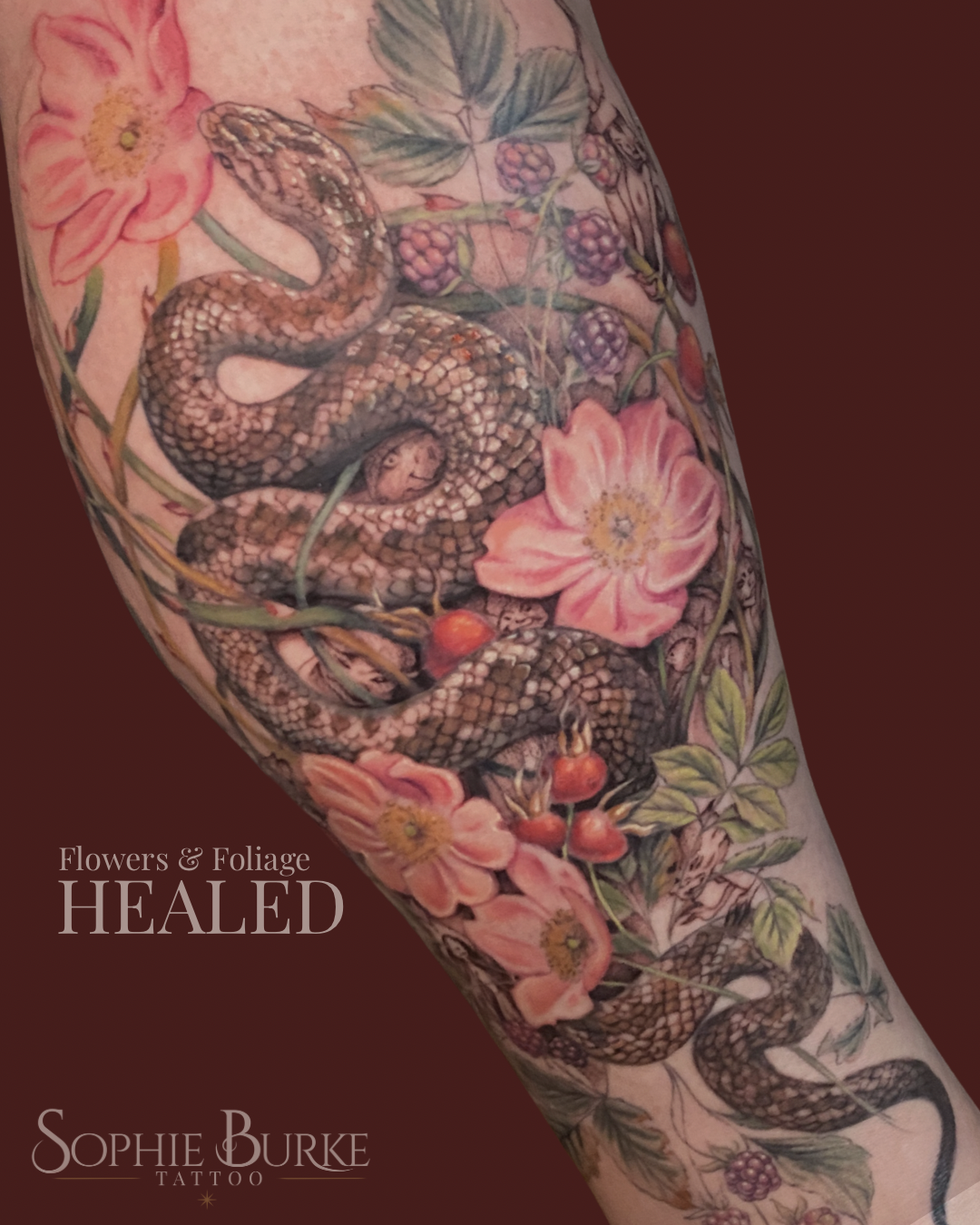 Sophie-burke-painterly-floral-healed-tattoo-Wirral - Sophie-burke-botanical-snake-tattoo-Wirral.png
