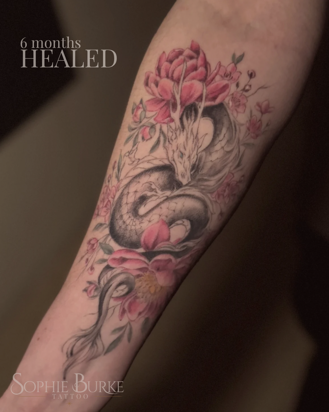 Website ready - 10.png